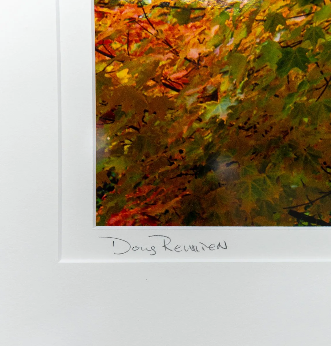 remien-praise-autumn-10.jpg