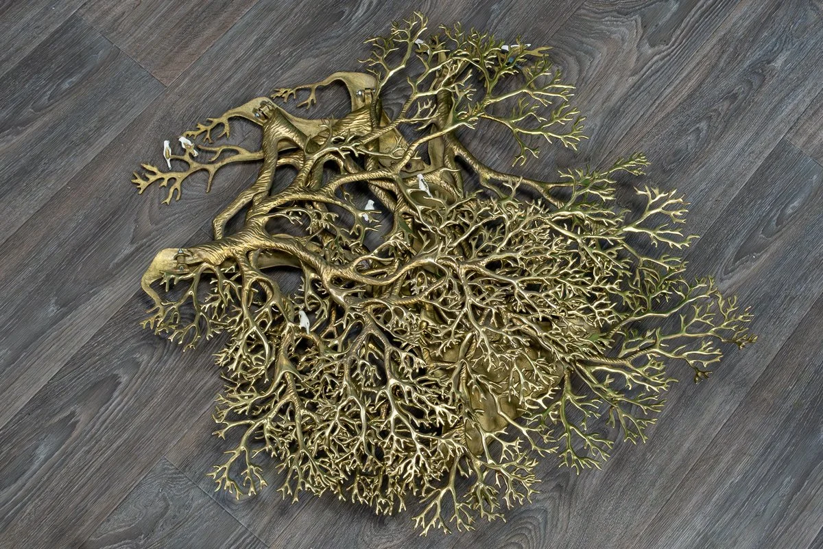 Bijan-Tree-of-Life-15.jpg