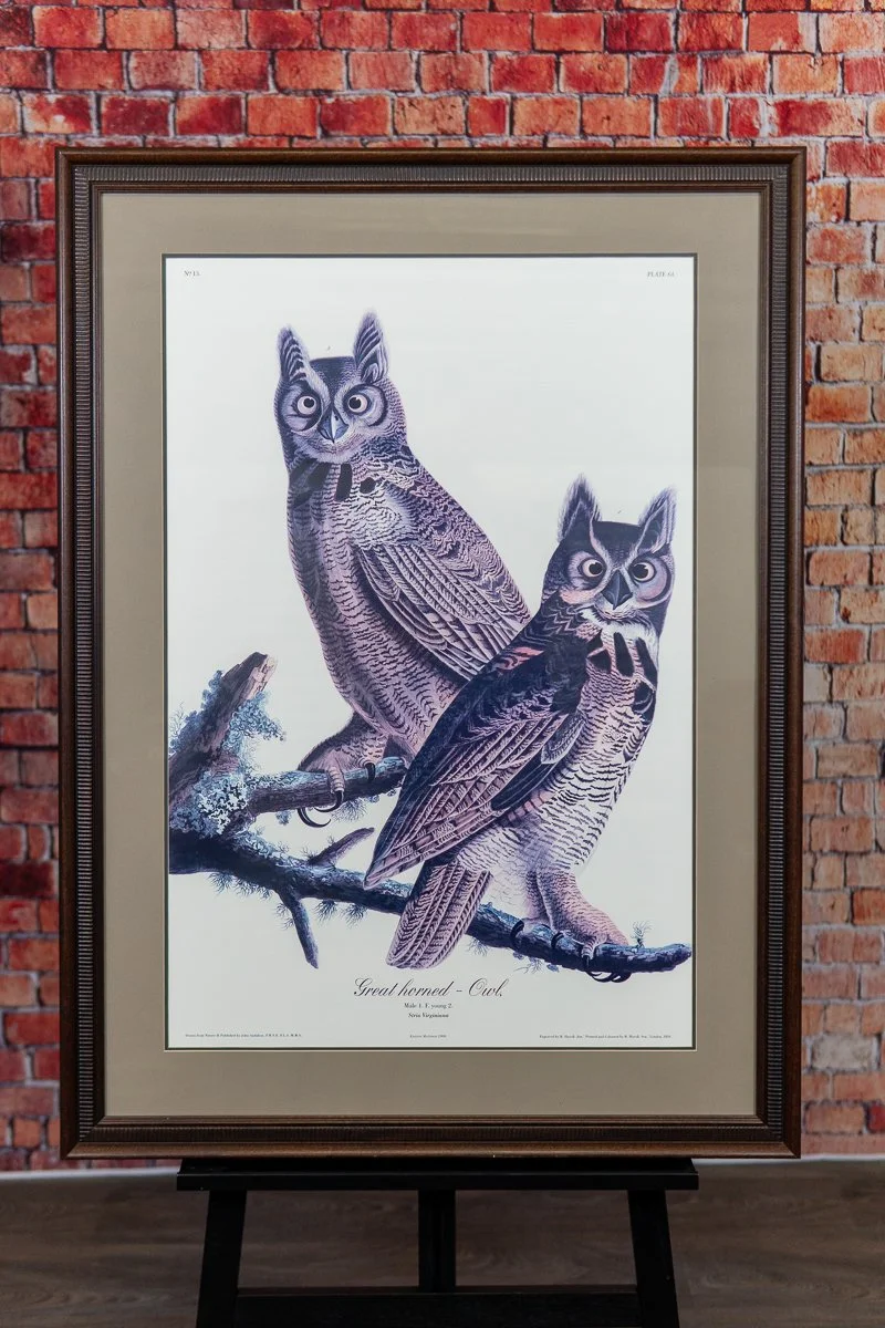 Audubon-great-horned-owl-1.jpg