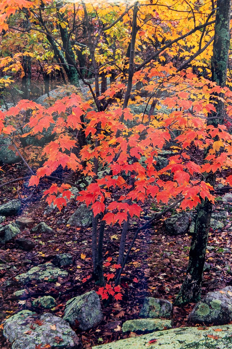 remien-legends-7.jpg