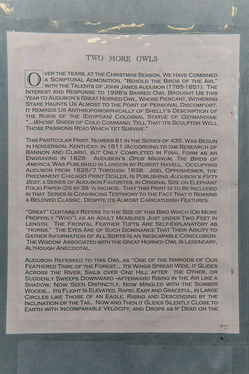 Audubon-great-horned-owl-3.jpg