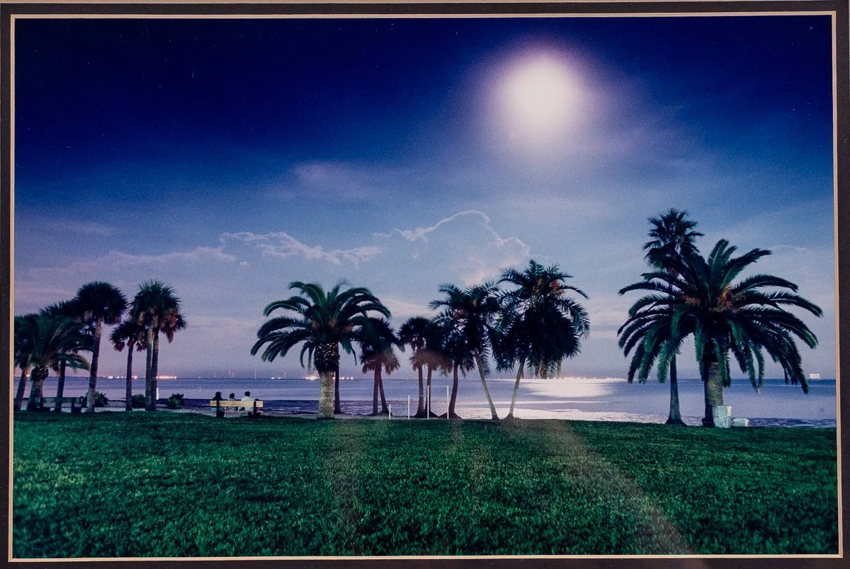 vinoy-park-photo-2.jpg