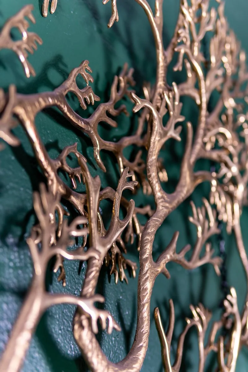 Bijan-Tree-of-Life-10.jpg