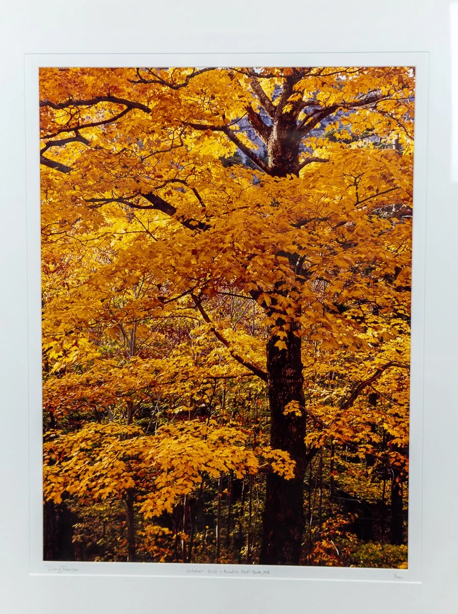 remien-october-gold-4.jpg