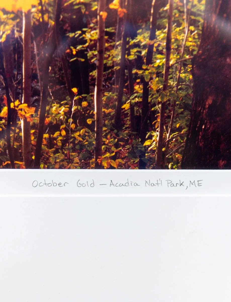 remien-october-gold-5.jpg