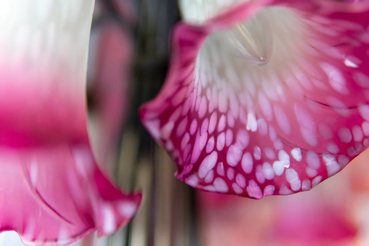 tulip-lamp-15.jpg