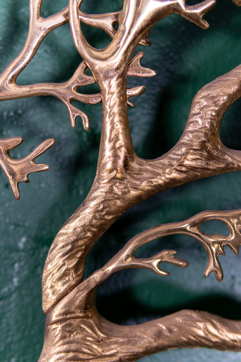 Bijan-Tree-of-Life-12.jpg
