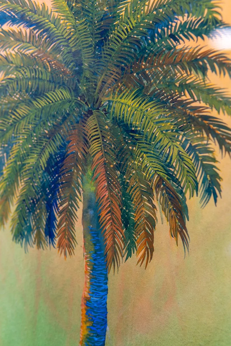 renc-canary-palm-7.jpg