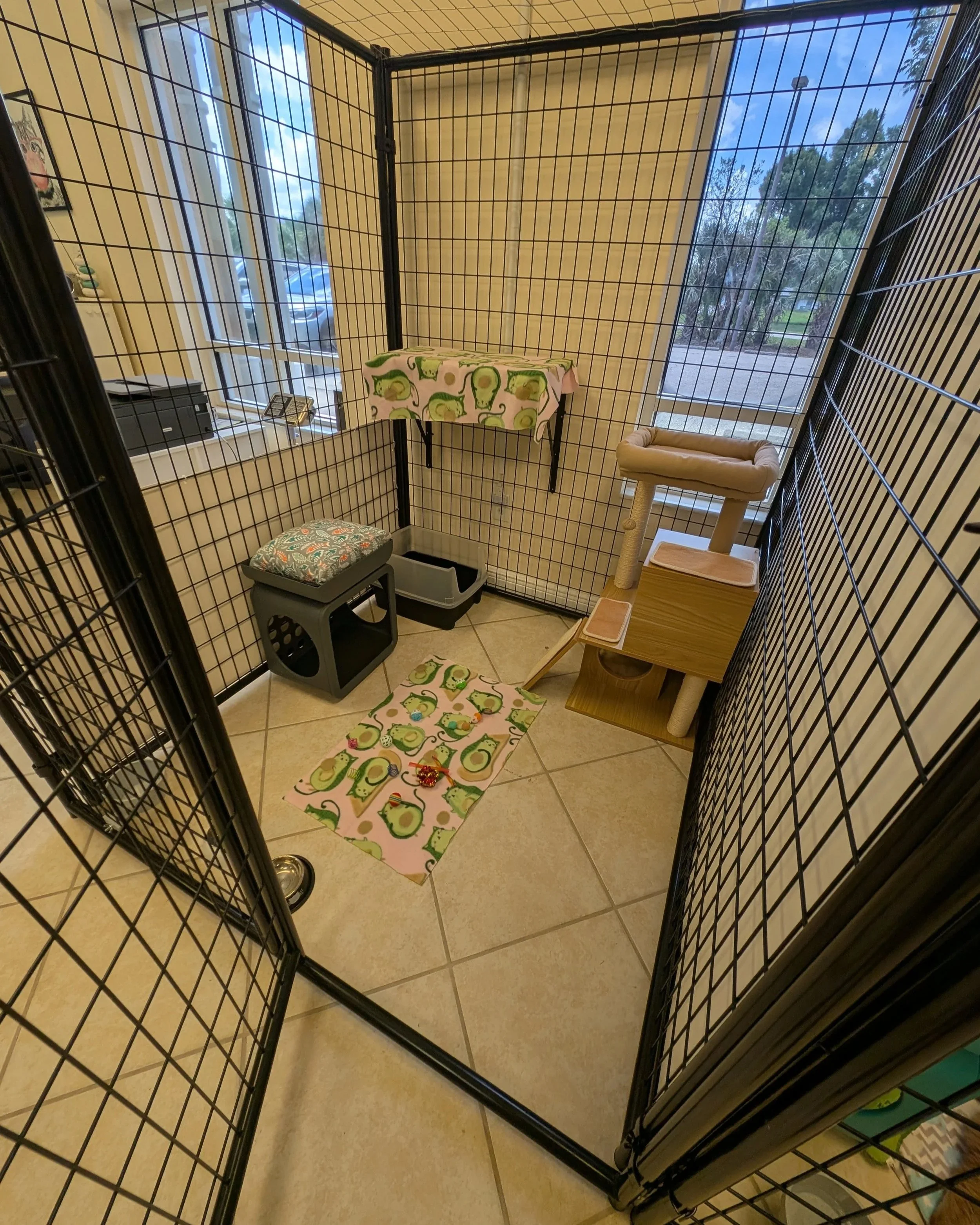 Spacious cat boarding suite with perches and private litter area at The Coastal Cat Resort.