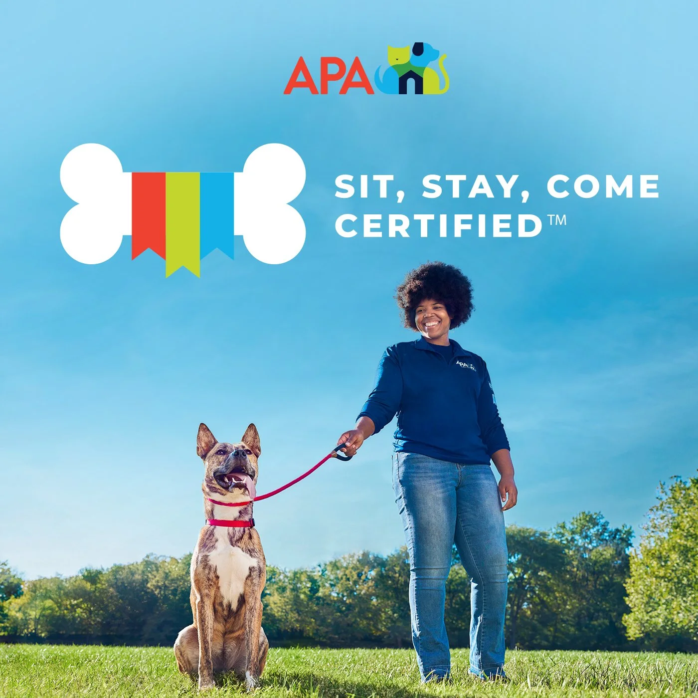 APA Adoption Center