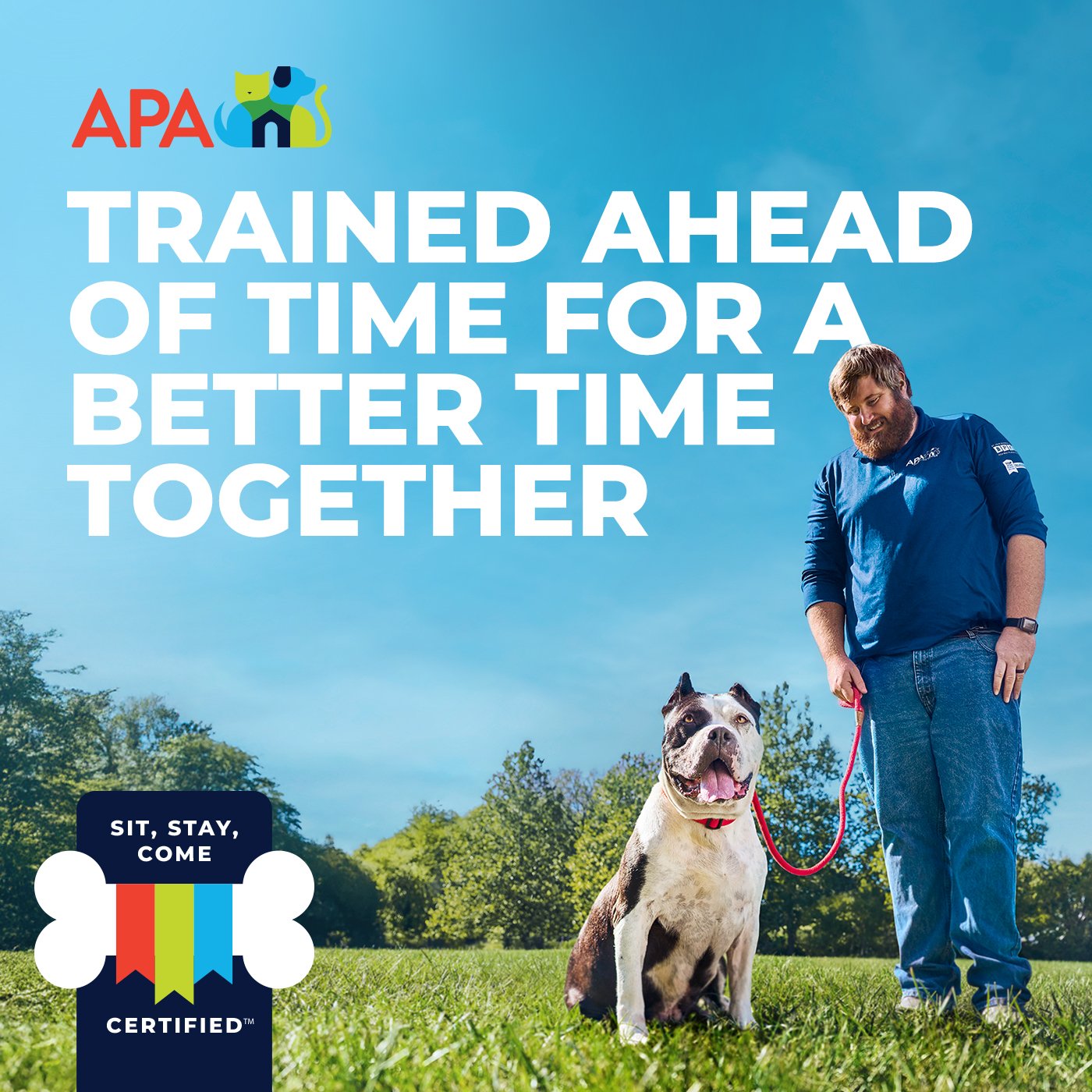 POST COPY: The Sit, Stay, Come certified big dogs at the APA are all trained up for a uniquely obedient relationship with you. Now “Come” to the APA because they can “Come” when you ask them to.  