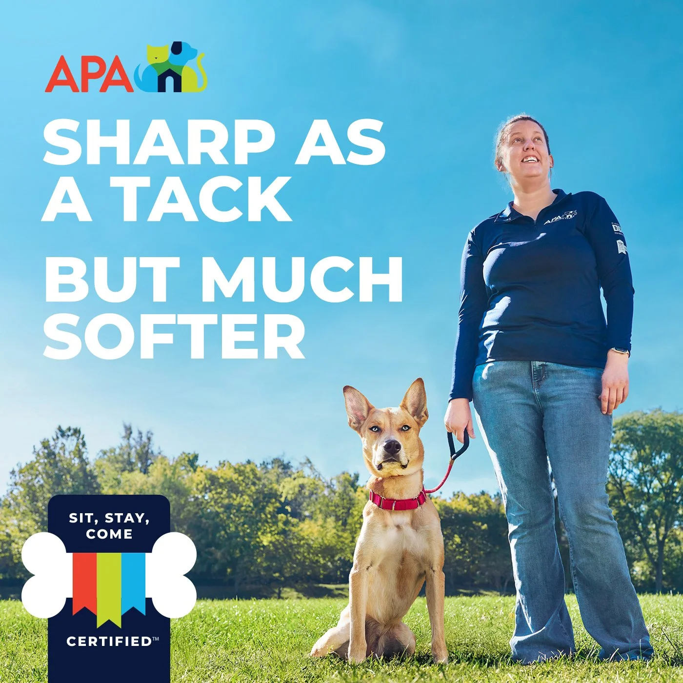 POST COPY: Sure the big dogs at the APA now know how to “stay”, but they’d prefer to go home with you. Swing by the APA and pick up your big fella who can Sit, Stay and Come as soon as you're ready. 