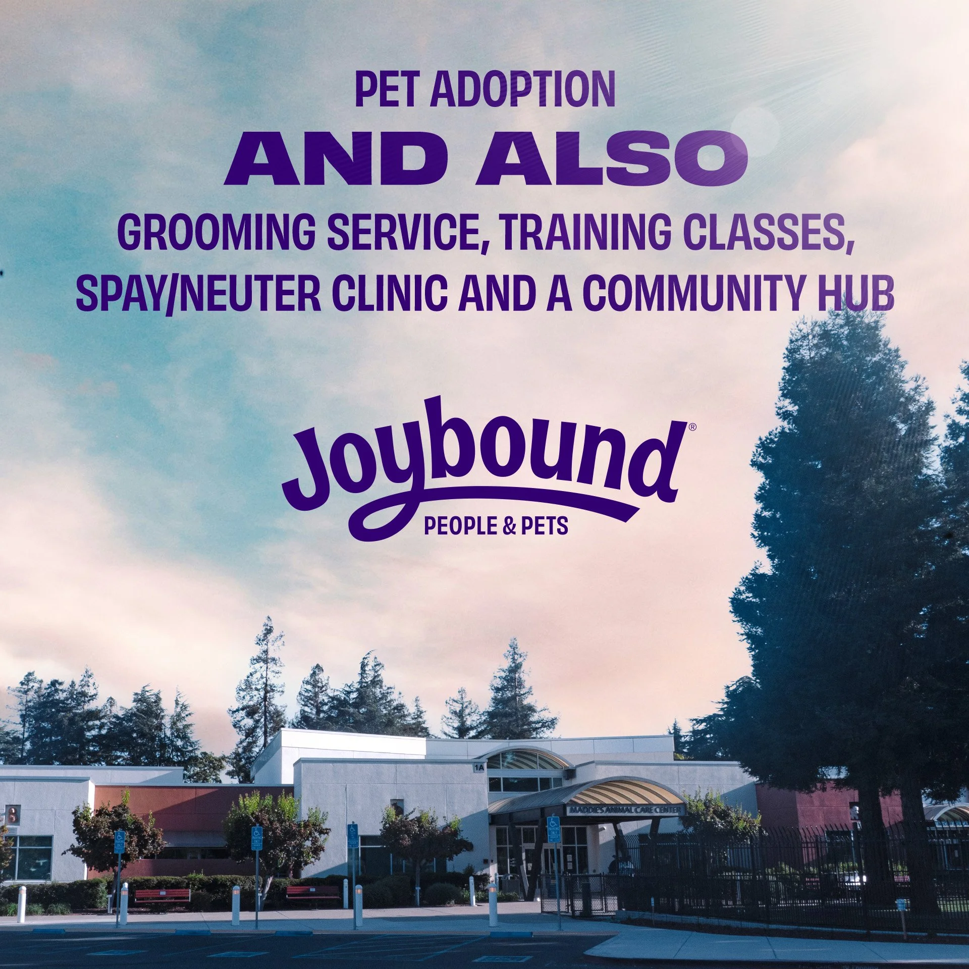 Joybound Services STATIC.jpg