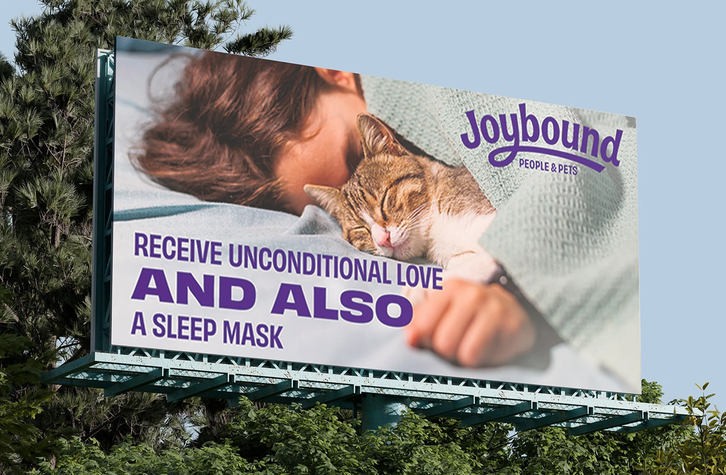 044D Joybound Consumer Campaign 05 OUTDOOR.jpg