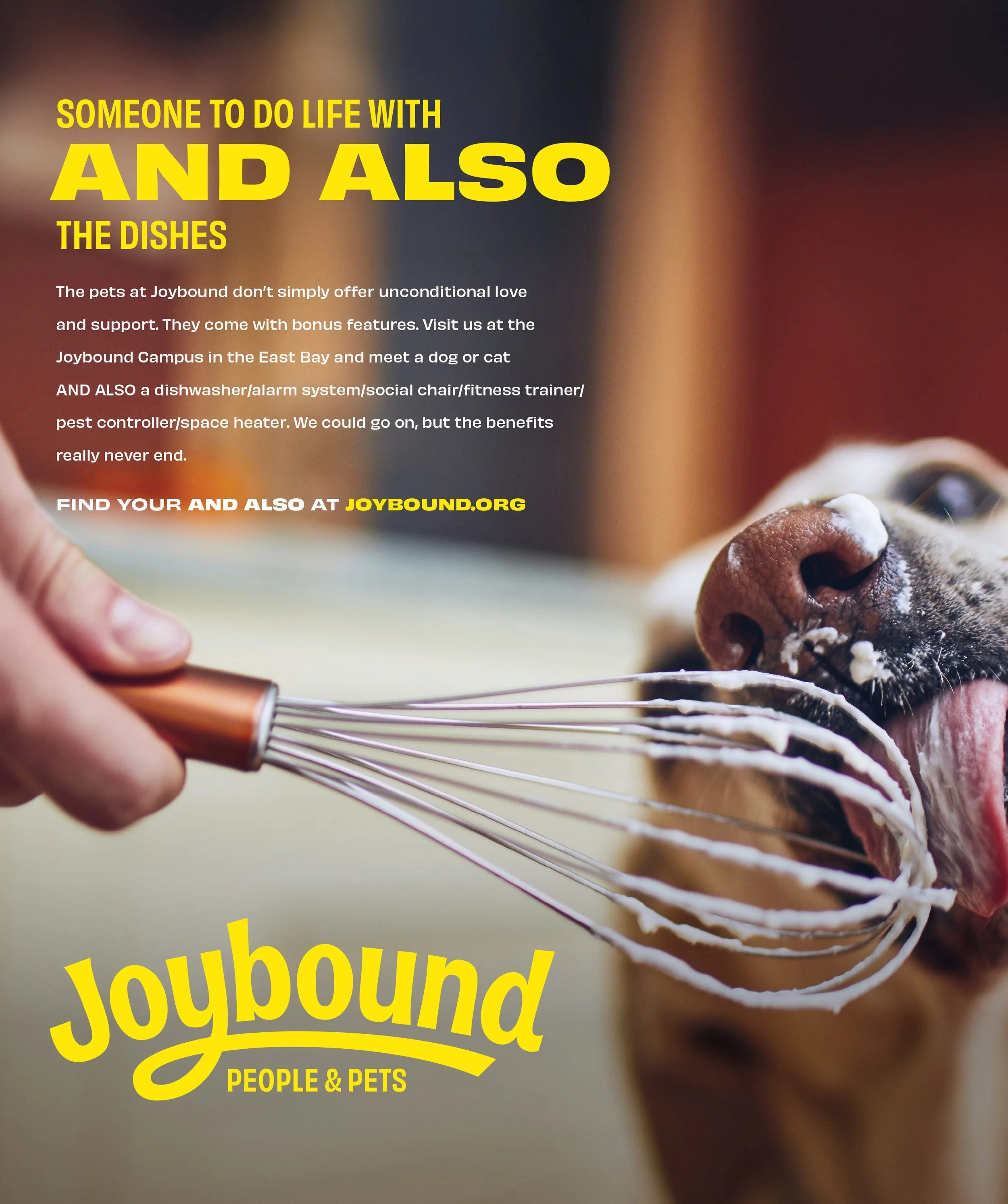 013A Joybound Print DISHES.jpg