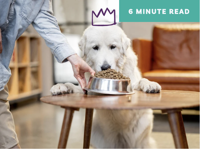 Screen Shot 2025-04-26 at 8.26.45 PM.png