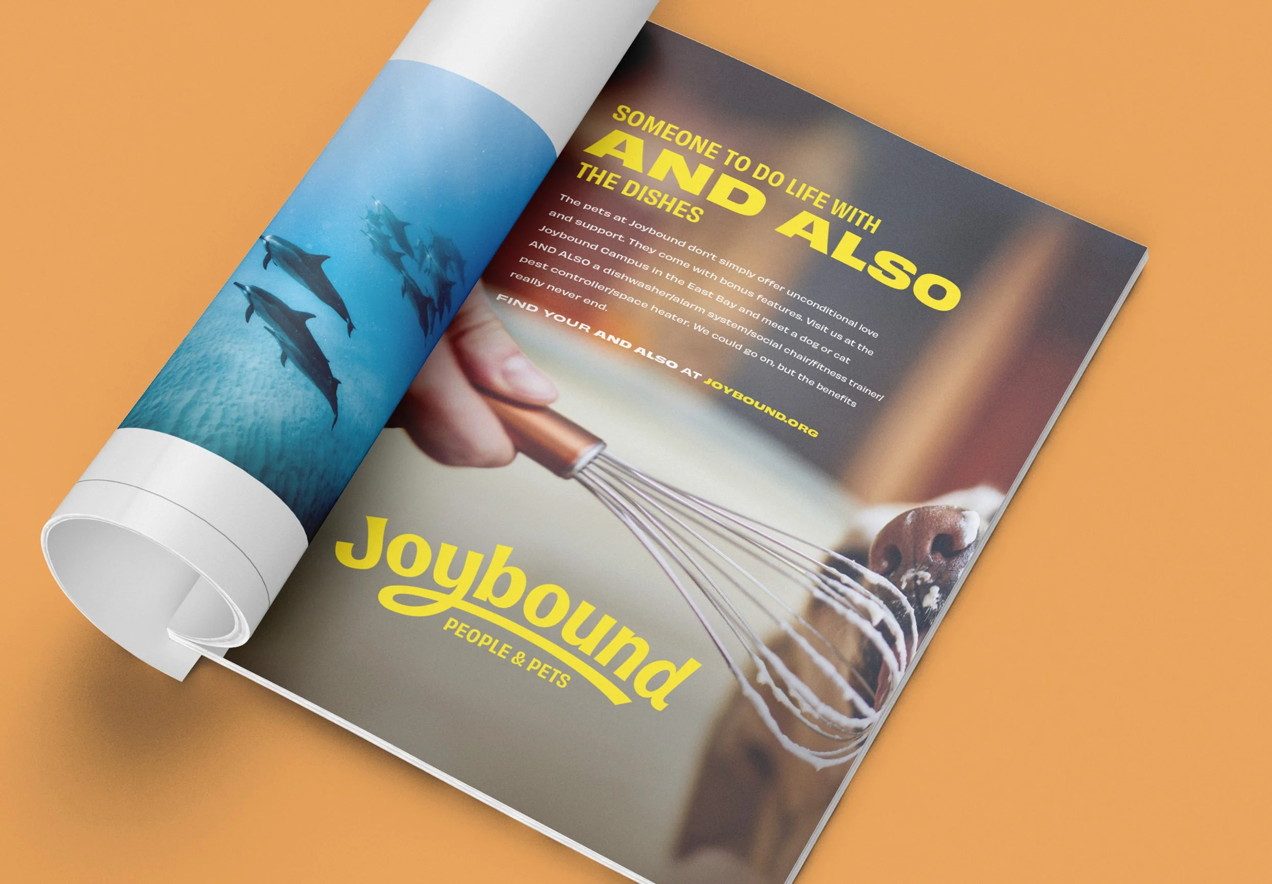 044D Joybound Consumer Campaign 04 PRINT.jpg