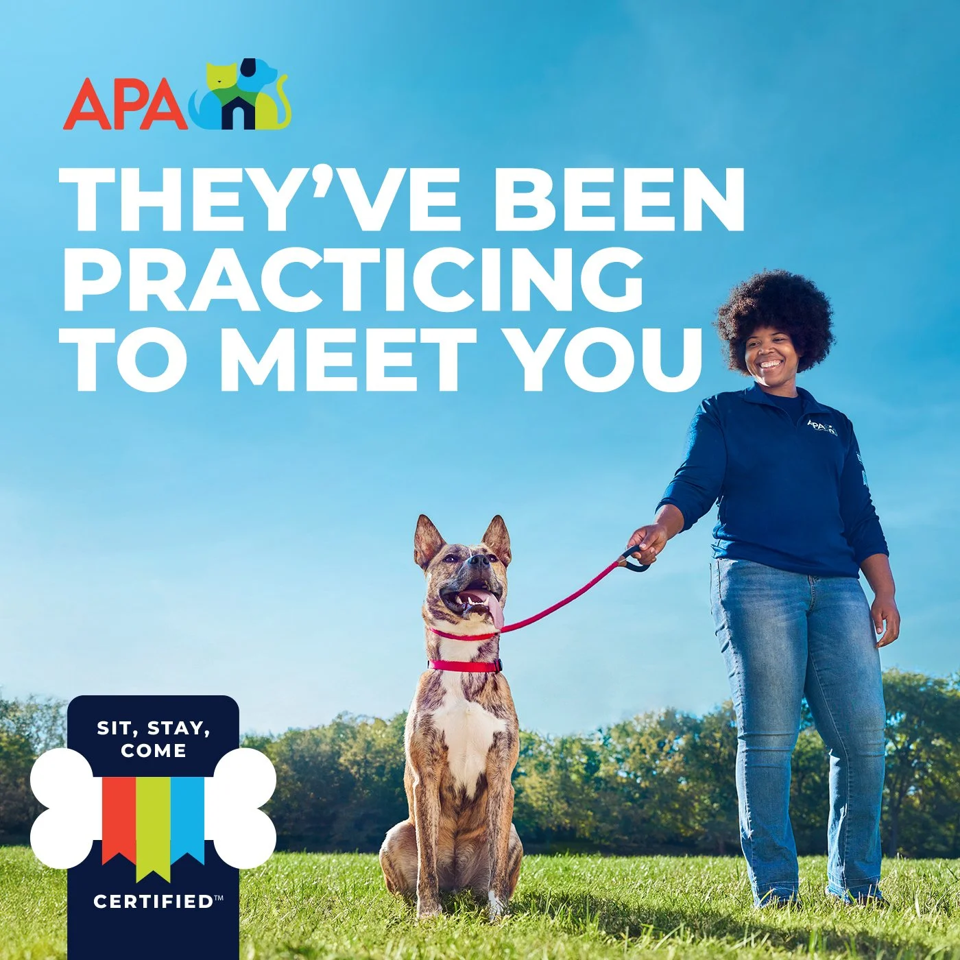 POST COPY: Our big dogs have been hard at work to make sure they’re move-in ready. Head down to the APA and make it a big day for a Sit, Stay, Come certified big dog.