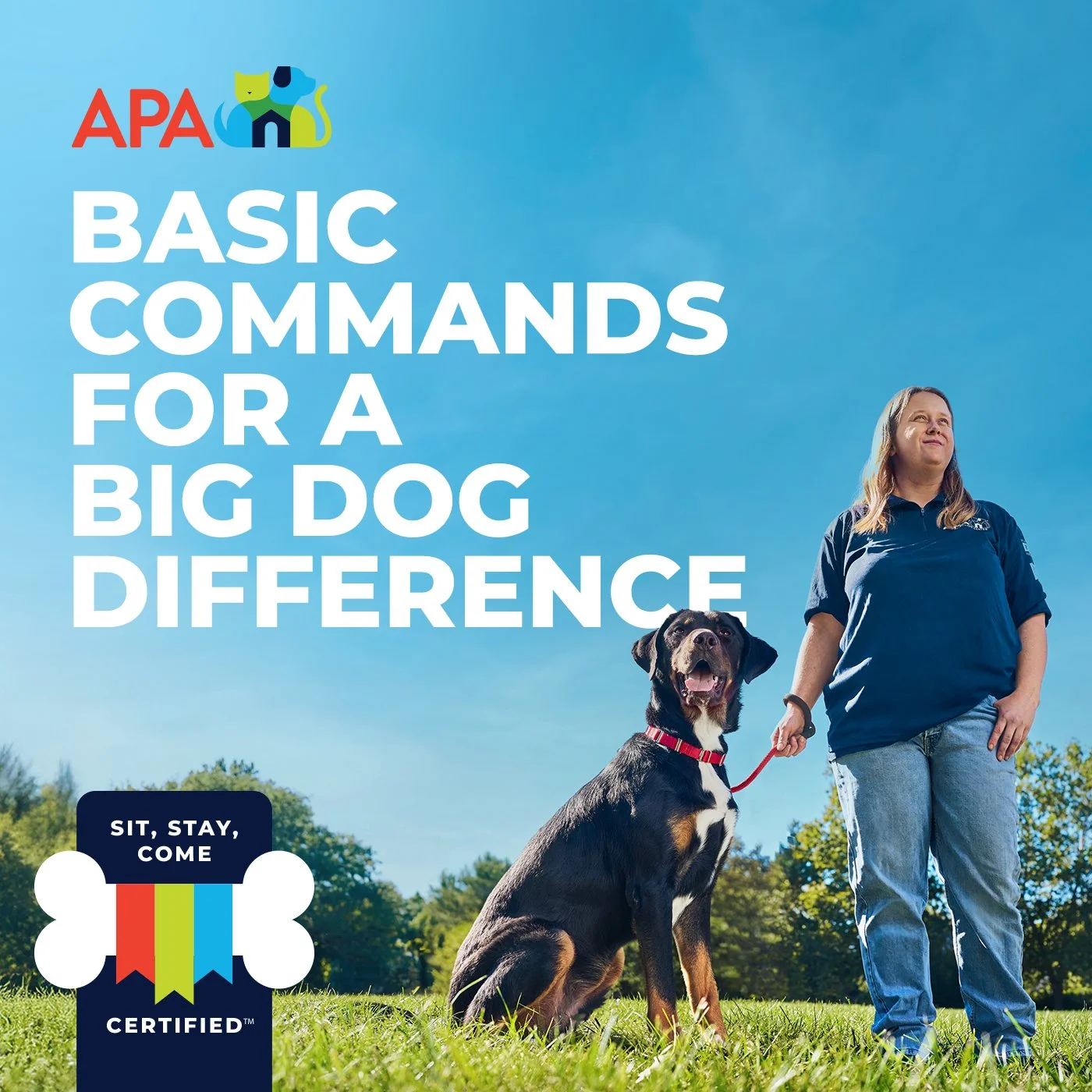 POST COPY: Many of our Big Dogs have been taking day classes to become Sit, Stay, Come  certified. This prestigious honor, bestowed by us, ensures your big fella is ready to listen and stay, stay, stayyyyyy (good, boy) with you. 