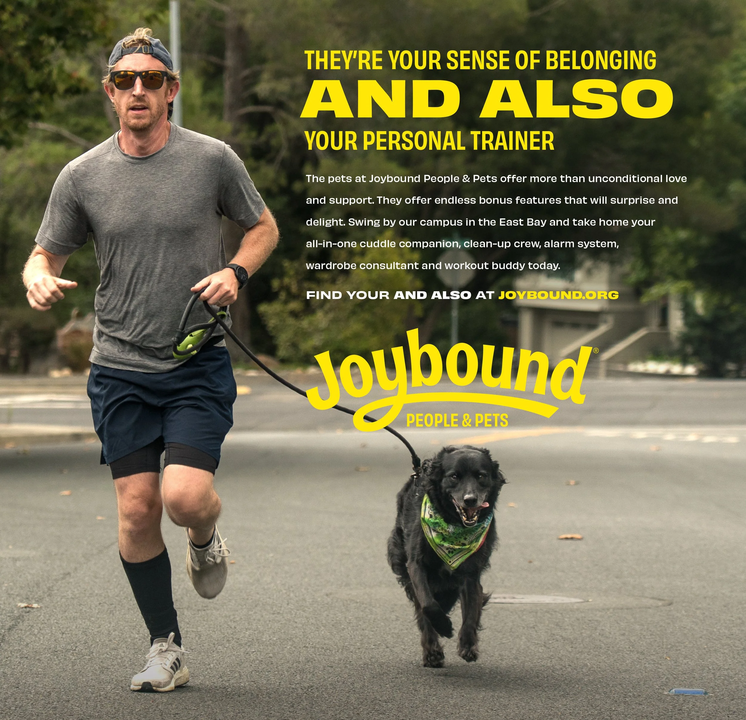 013A Joybound Print TRAINER.jpg