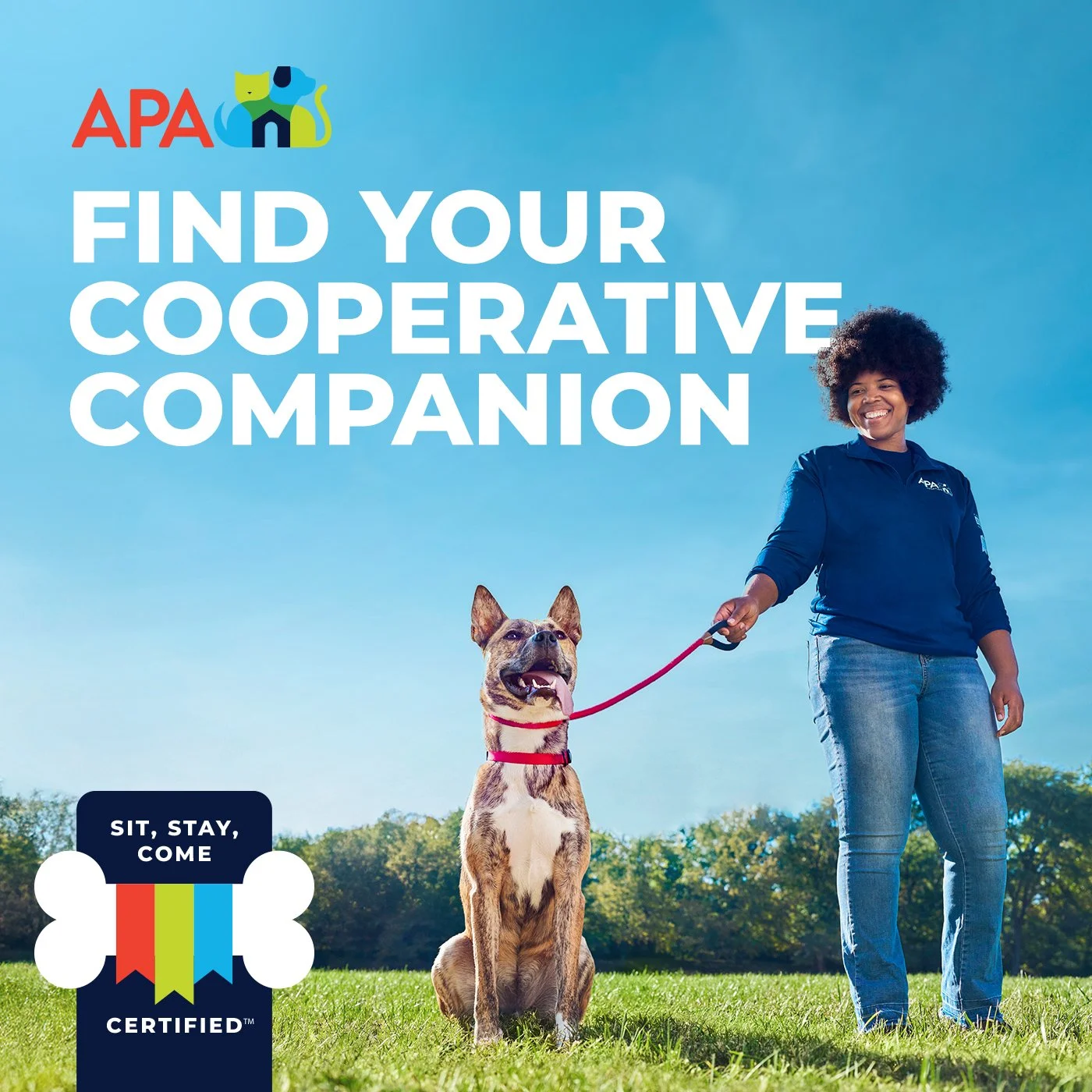 POST COPY: Many of the big dogs at the APA are now Sit, Stay, Come certified. That means they’re pre-trained for a better best friendship. Come down to the APA and get a big dog with some serious “staying power”. 