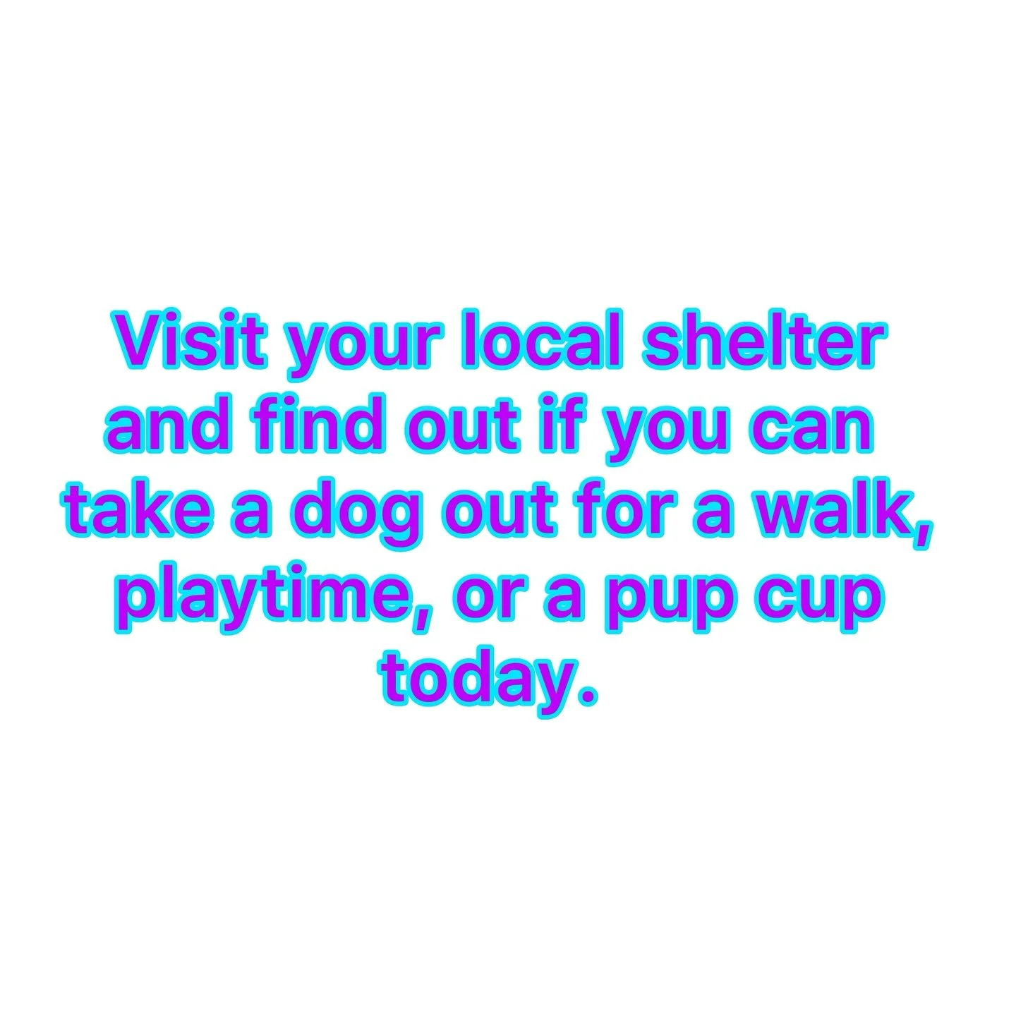Visit the local shelters in your area to find out what type of help they need and what type of programs they have for people who aren’t ready to make the commitment of owning a pet but, want to do something. Taking a dog out of the shelter for
