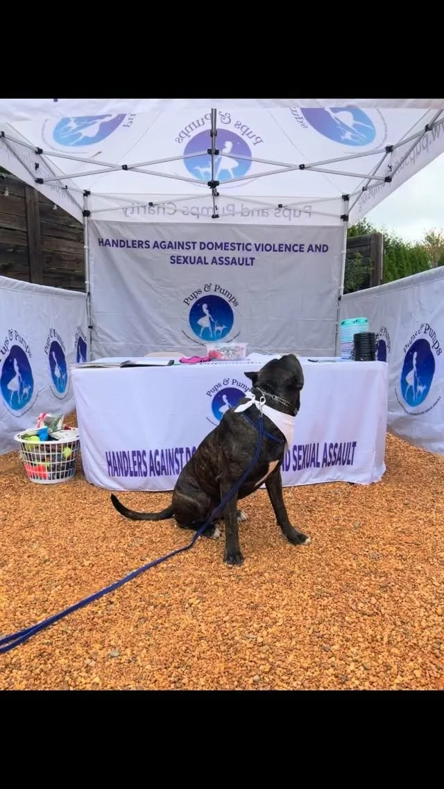The pups were out and enjoying themselves today at Bark and Chill. Special thanks to @tuckerbrewingco and their amazing staff for helping it all go so smoothly.
More pictures and videos from Bark and Chill coming soon. Use link in bio to donate and