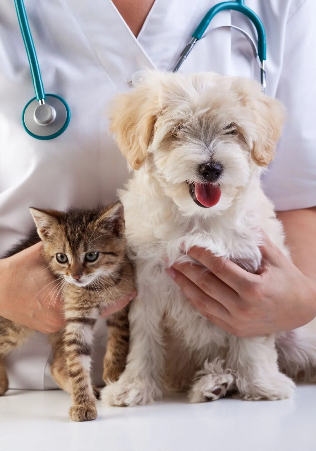 LifeLine Animal Center Vaccine Clinic