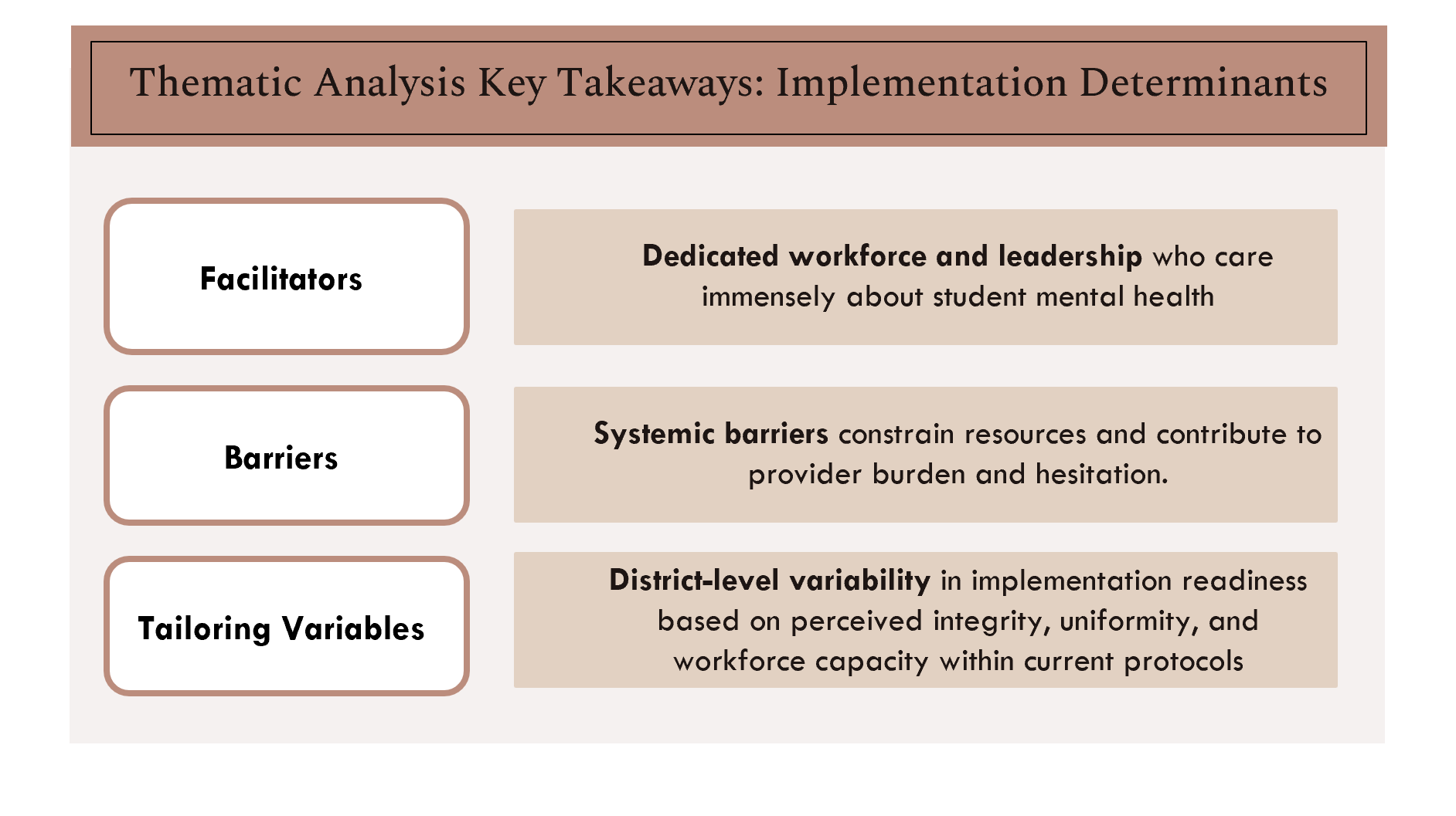 SAFETY-A implementation determinants_10.3.24.PNG