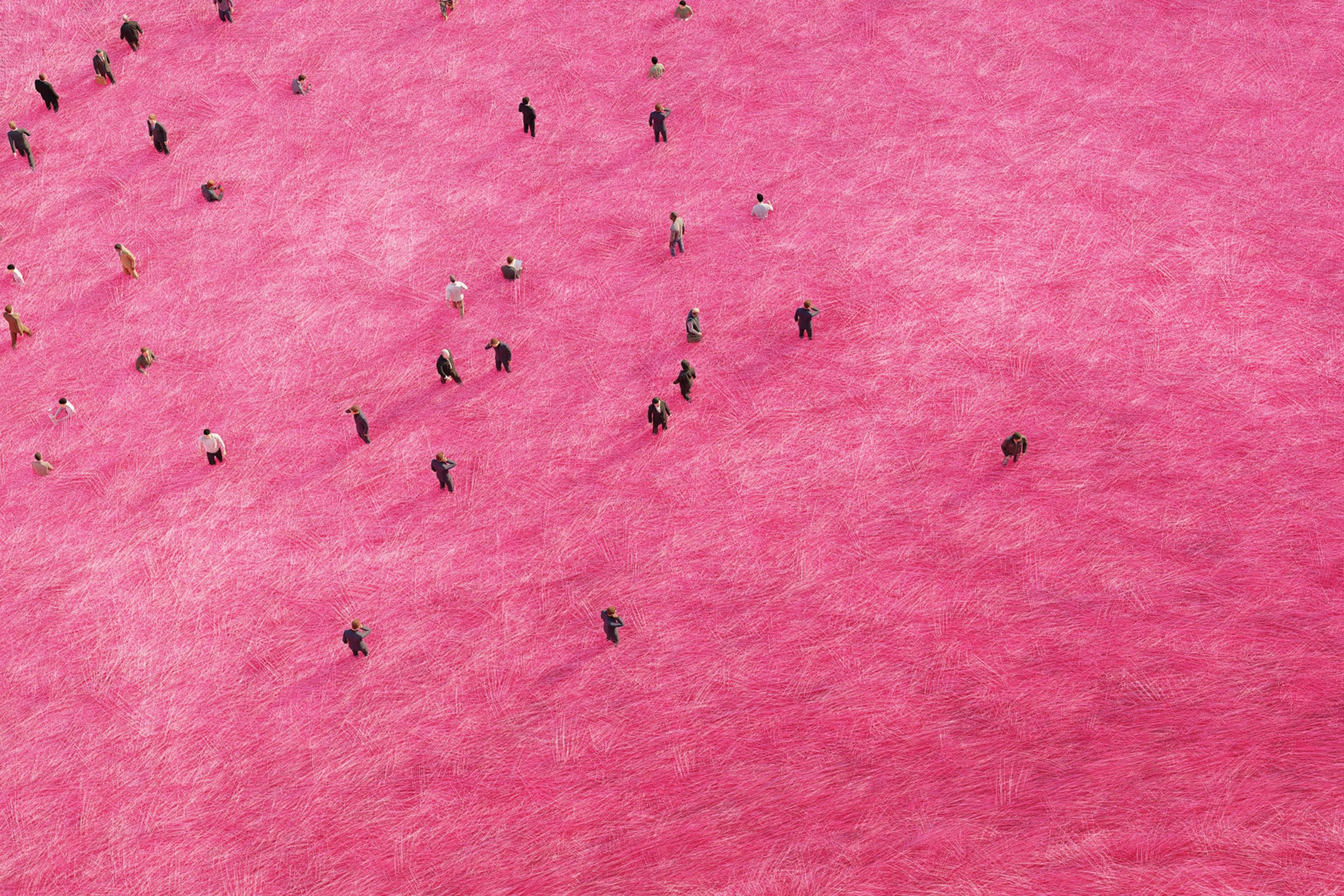 Pink 1_20x30.jpg