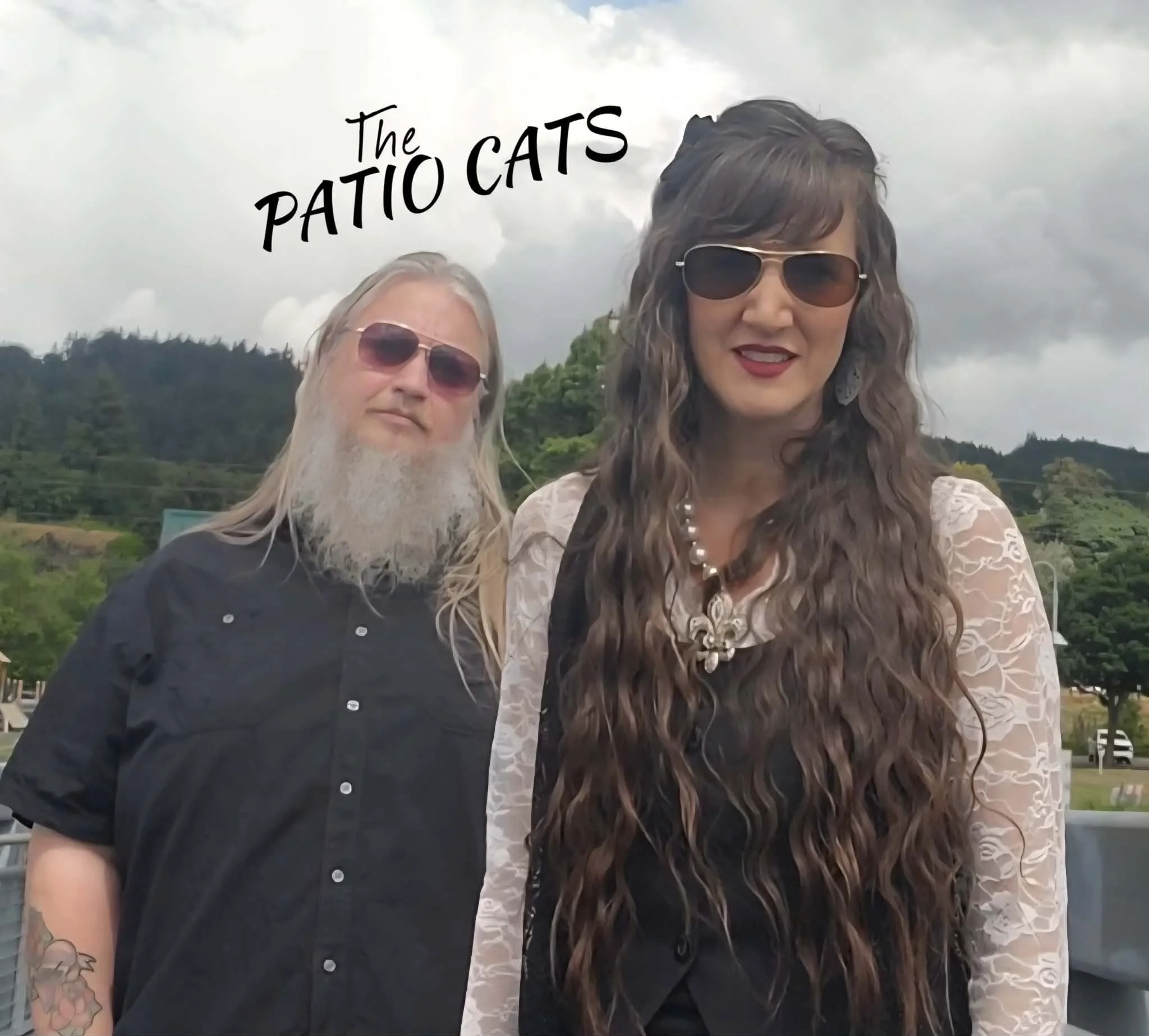 Live Music / Patio Cats