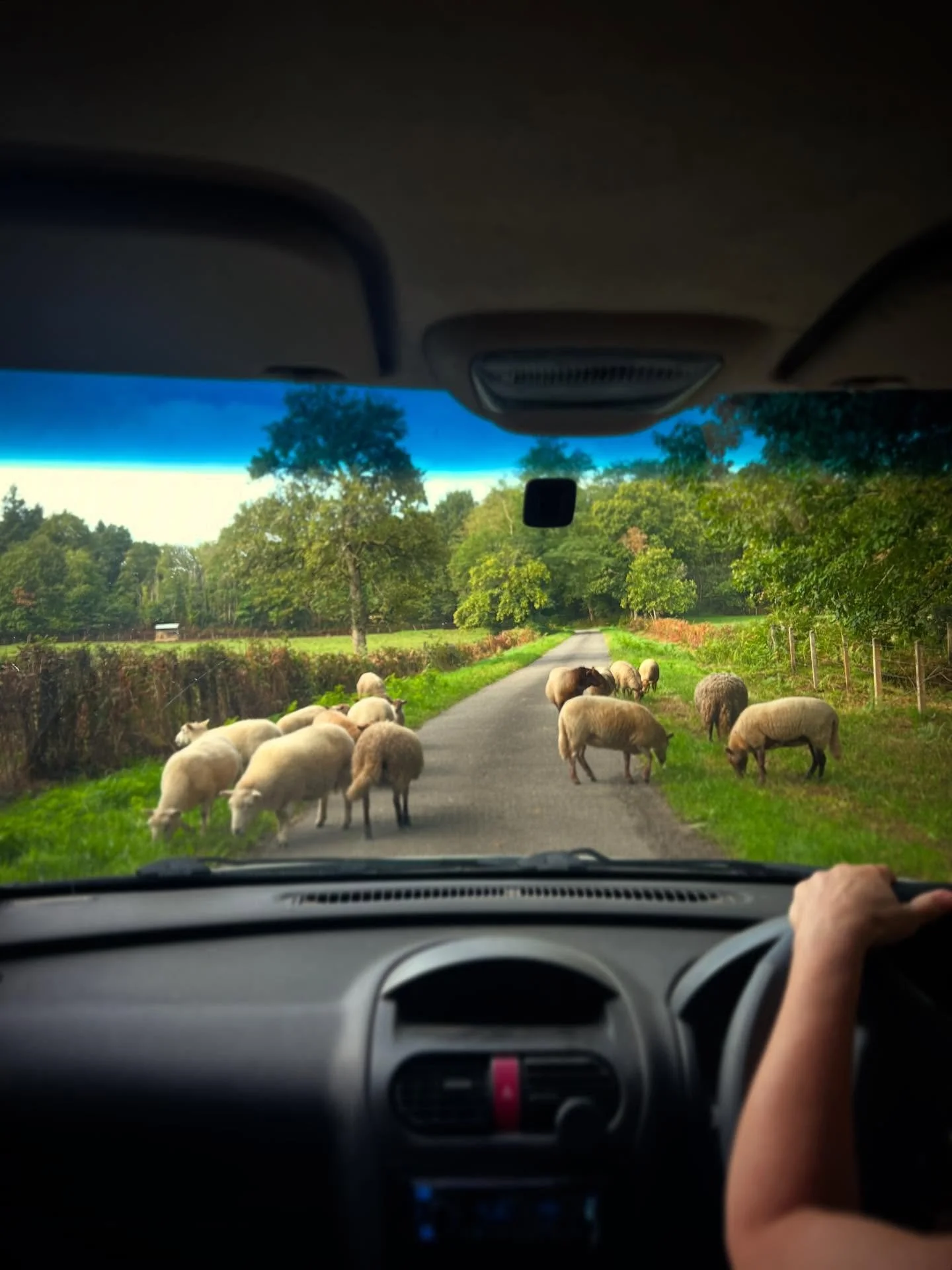 Working from France is the dream. The drive to WiFi proved slightly difficult though!

I&rsquo;ve been quite quiet on here lately. I&rsquo;ve had some new clients in the pipeline and reworking my processes is a lengthy process! 

More coming soon ✨