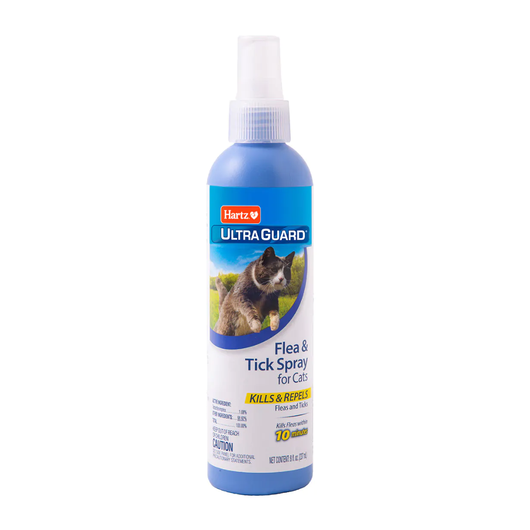 Untitled design - 2024-11-24T172002.681.png