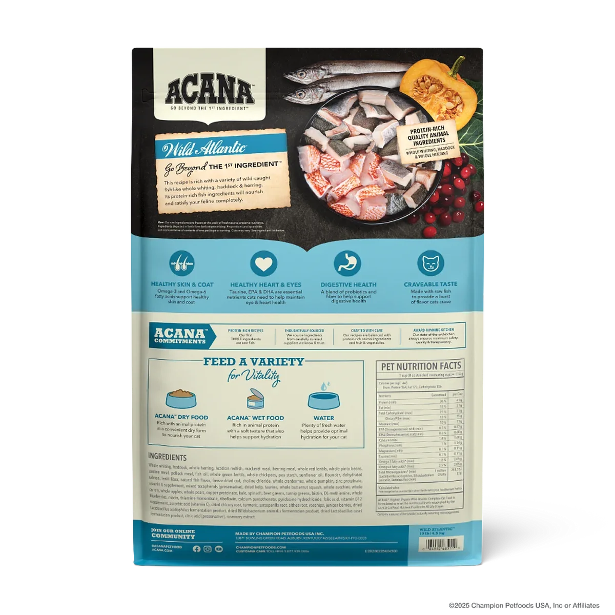 ACA HP C Wild Atlantic Back Hero EN US (1).webp