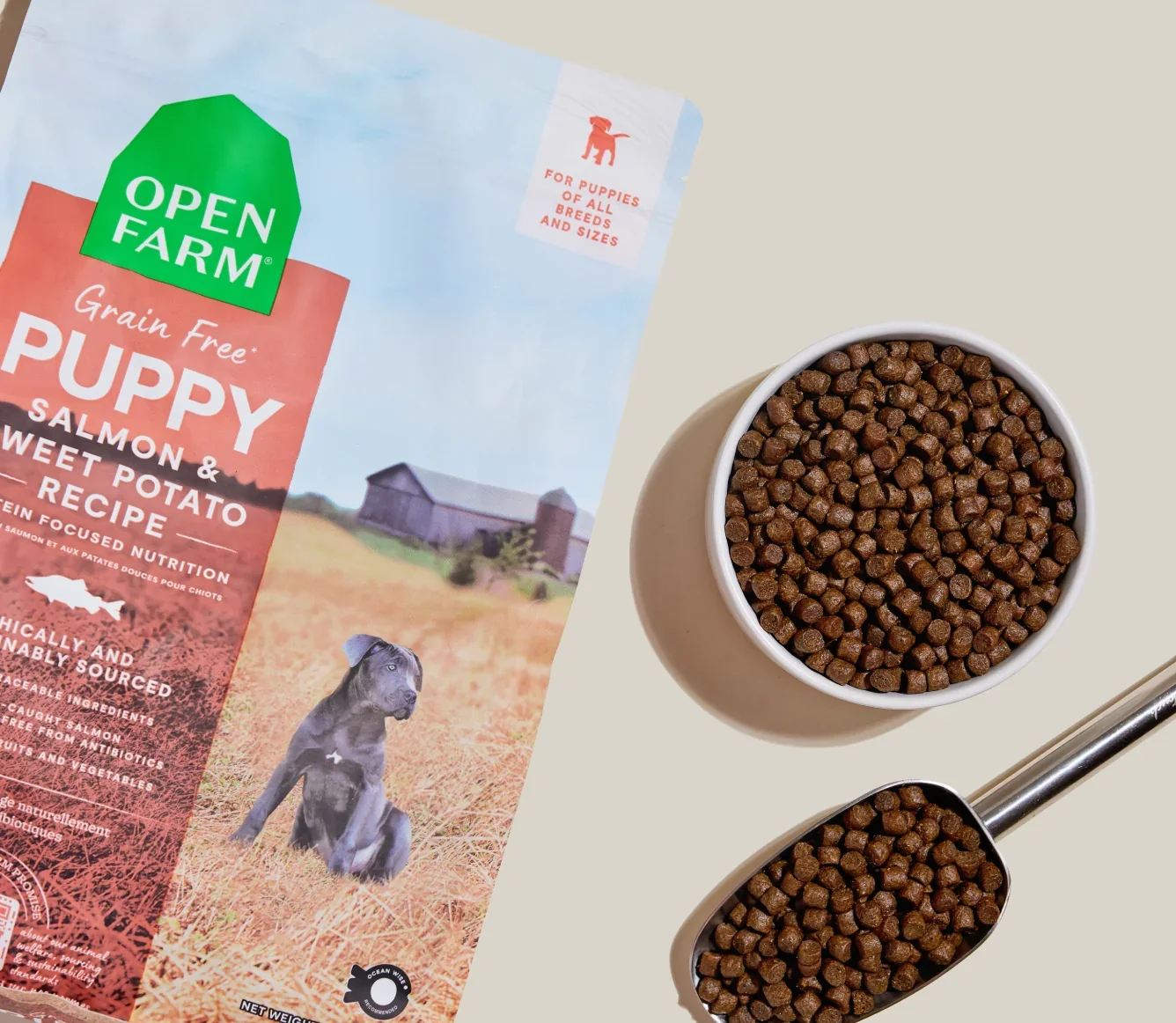 OFP-Grain-Free-Puppy-Salmon-Kibble-Recipe-2-668x580.webp