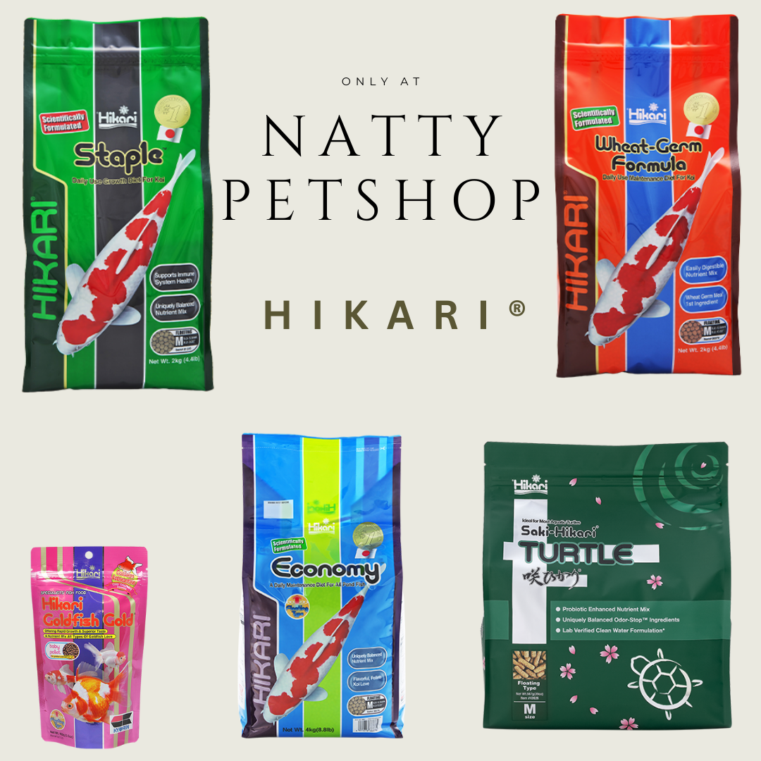 Hikari.png