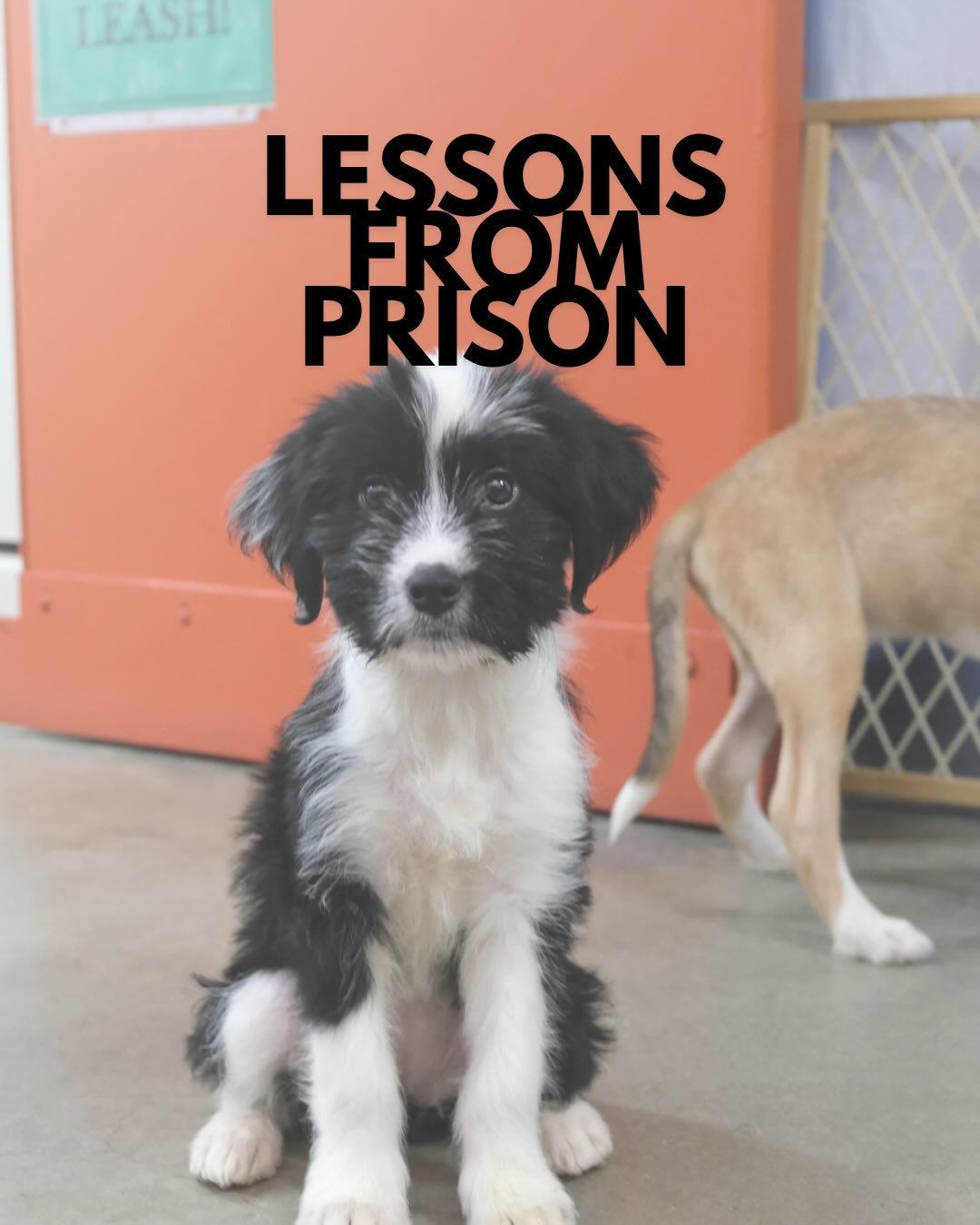 Lessons I&rsquo;ve learned from working with incarcerated men:
1. Real change happens in silence &amp; takes time. The ones who are going through the greatest transformations in their lives are usually the ones who are in the back, quietly observing 