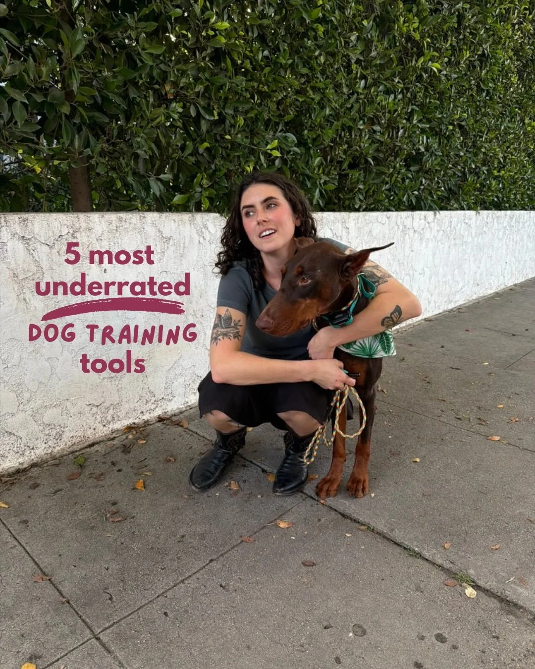 Tools I use on the daily - usually several times a day