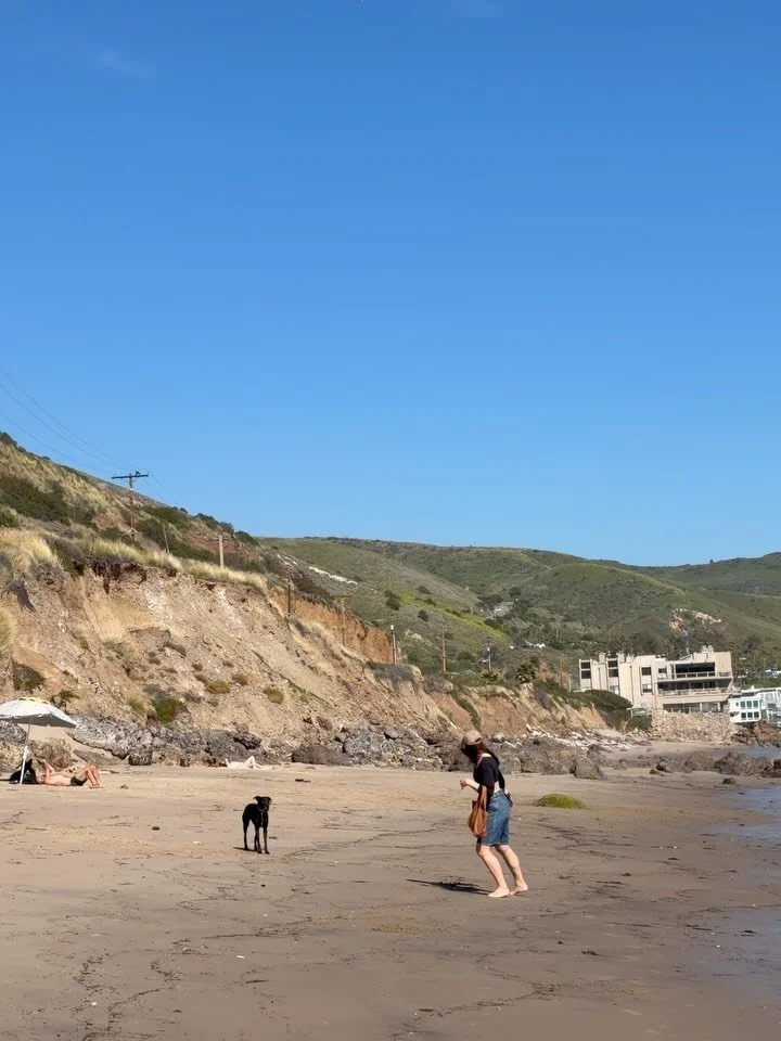 Dexter &amp; I got 2 beach days this weekend! Feeling so grateful