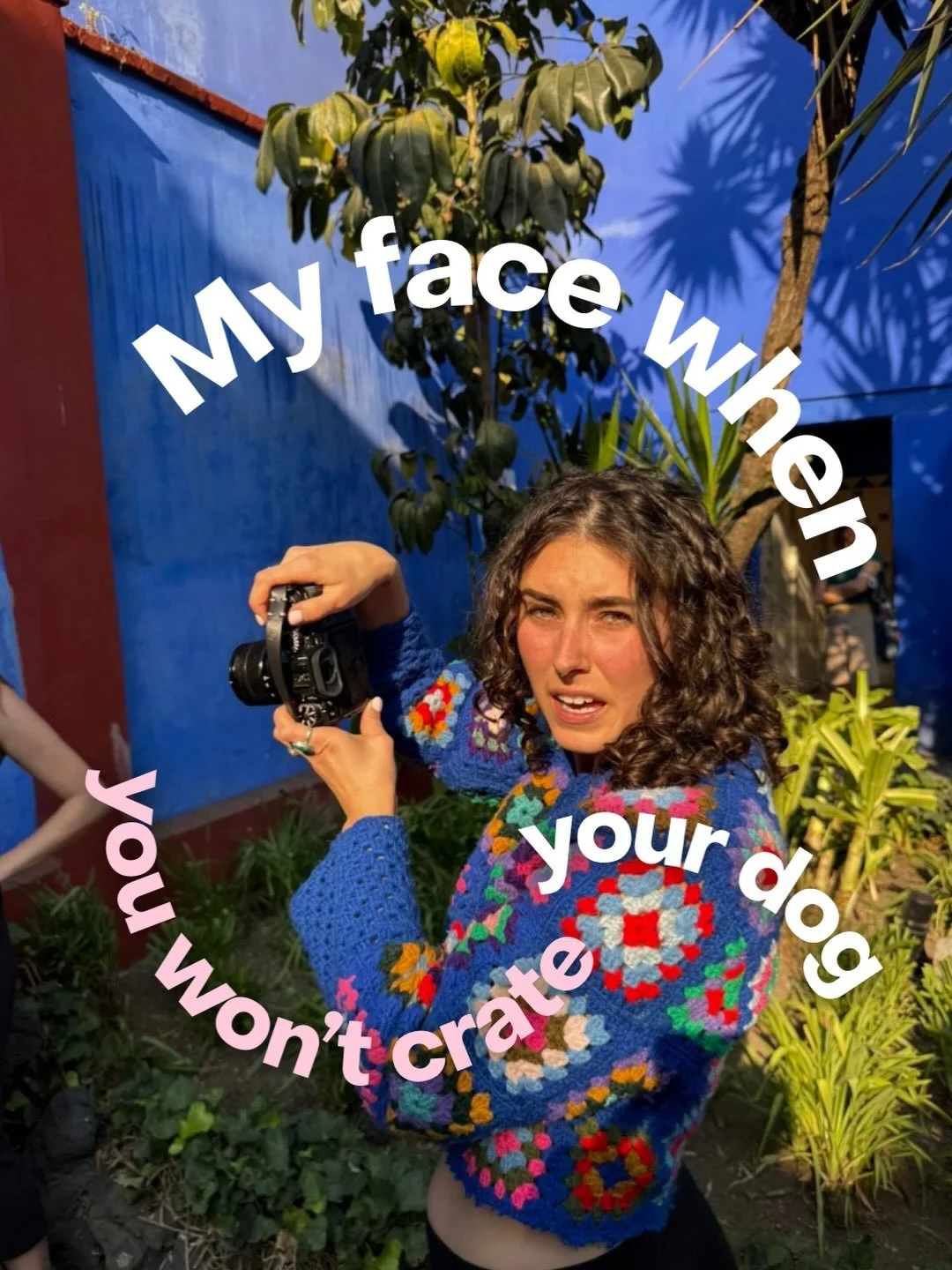 The number 1 piece of advice I give to people who call me about their dogs is to start crate training. This is also the number 1 thing I get the most push back for. Nobody wants to crate their dog, but everybody wants a dog that can go to the coffee 