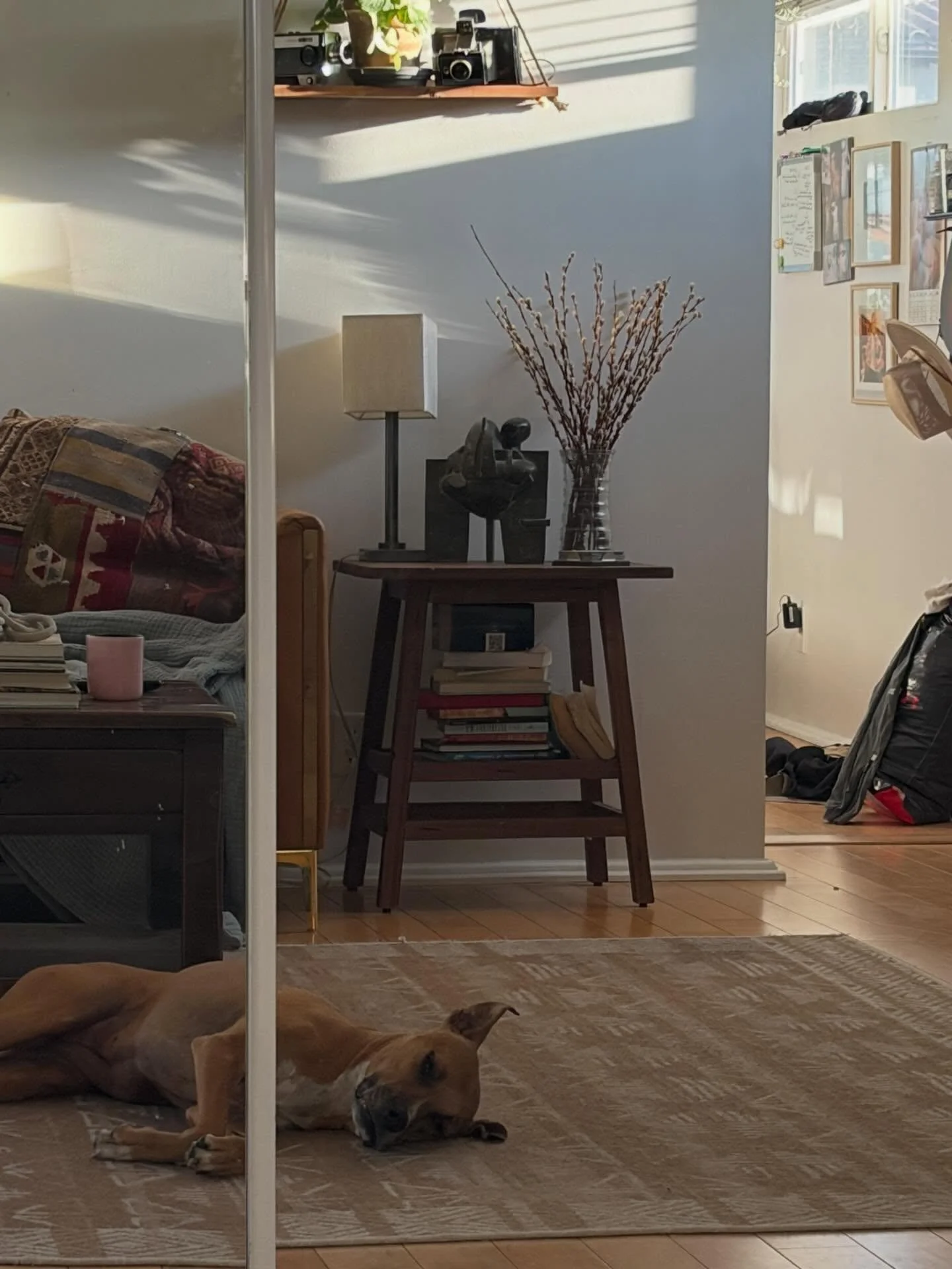 Week 1 with a puppy feels from Lana