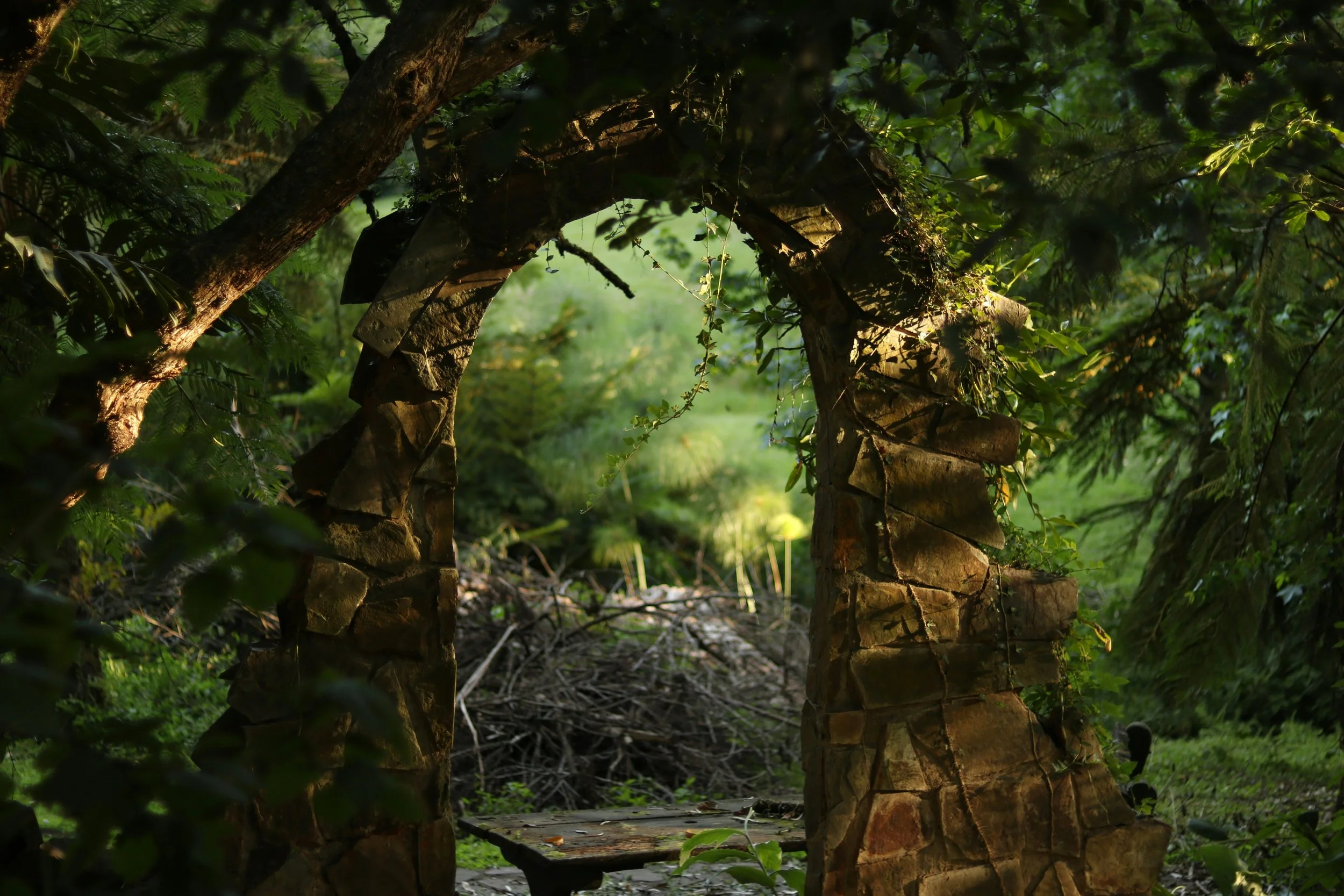 A stone archway covered with green vines and surrounded by dense foliage, leading to a lush, sunlit clearing in a forest.