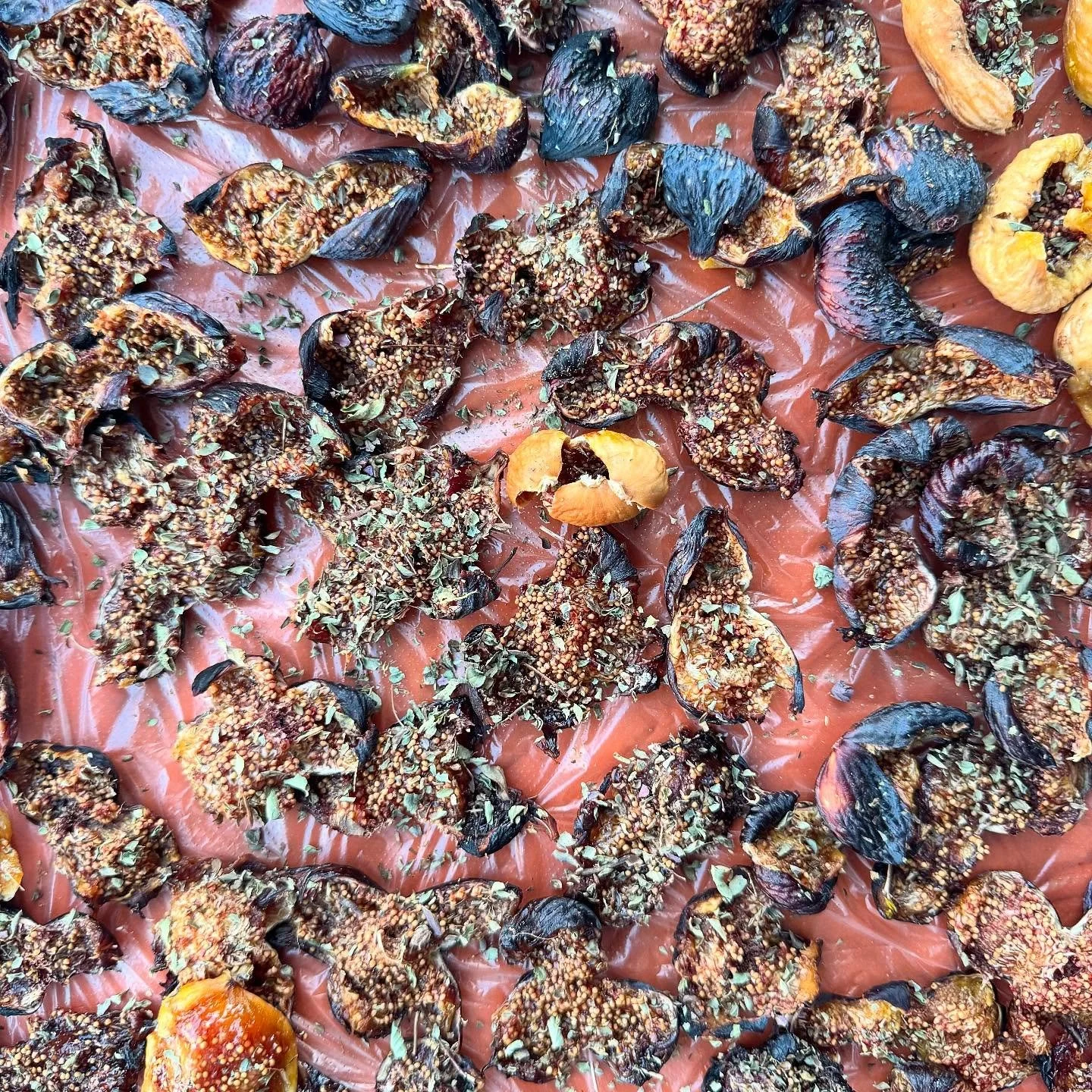 Sun-drying figs picked from our garden, seasoned with zaatar (a North African variety of thyme). #moroccanfood