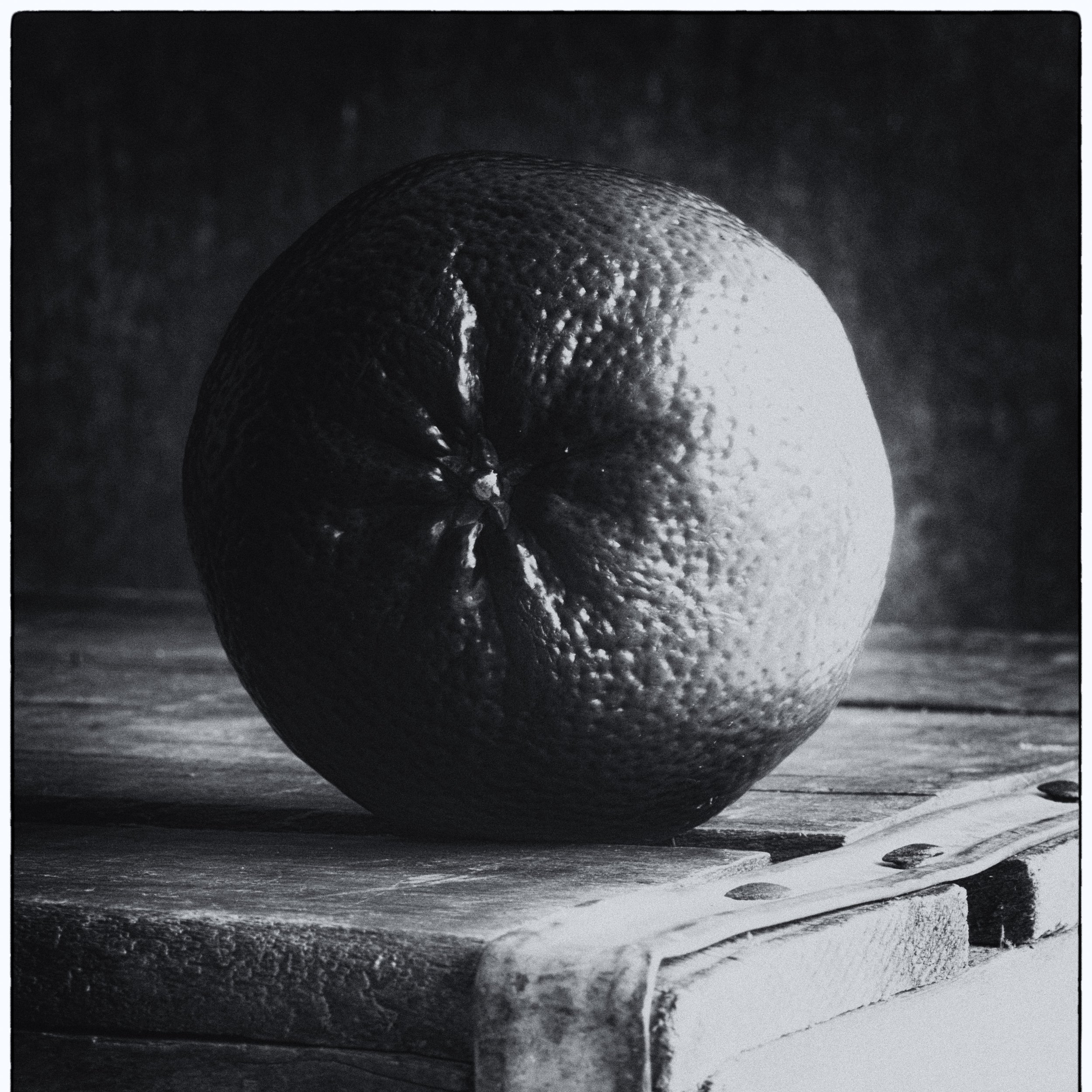 POPPY BEE SURFACES - WORKSHOP_2287_Apr 12 2026-Edit.jpg