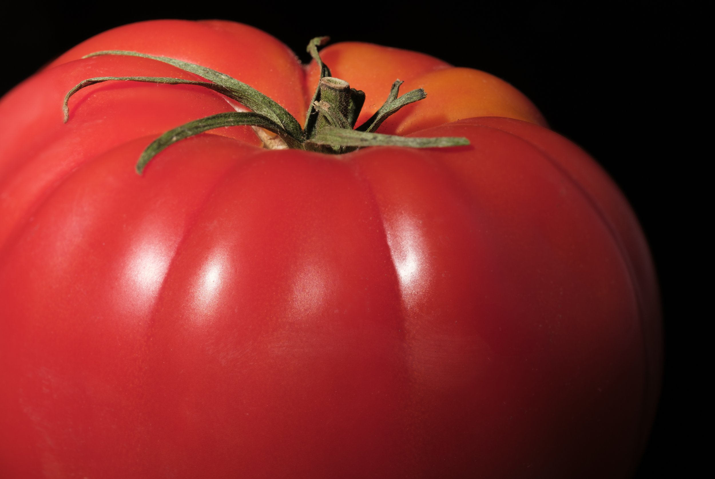 TOMATOS 5 2024-06-Jun 15 2024-1310-Edit.jpg