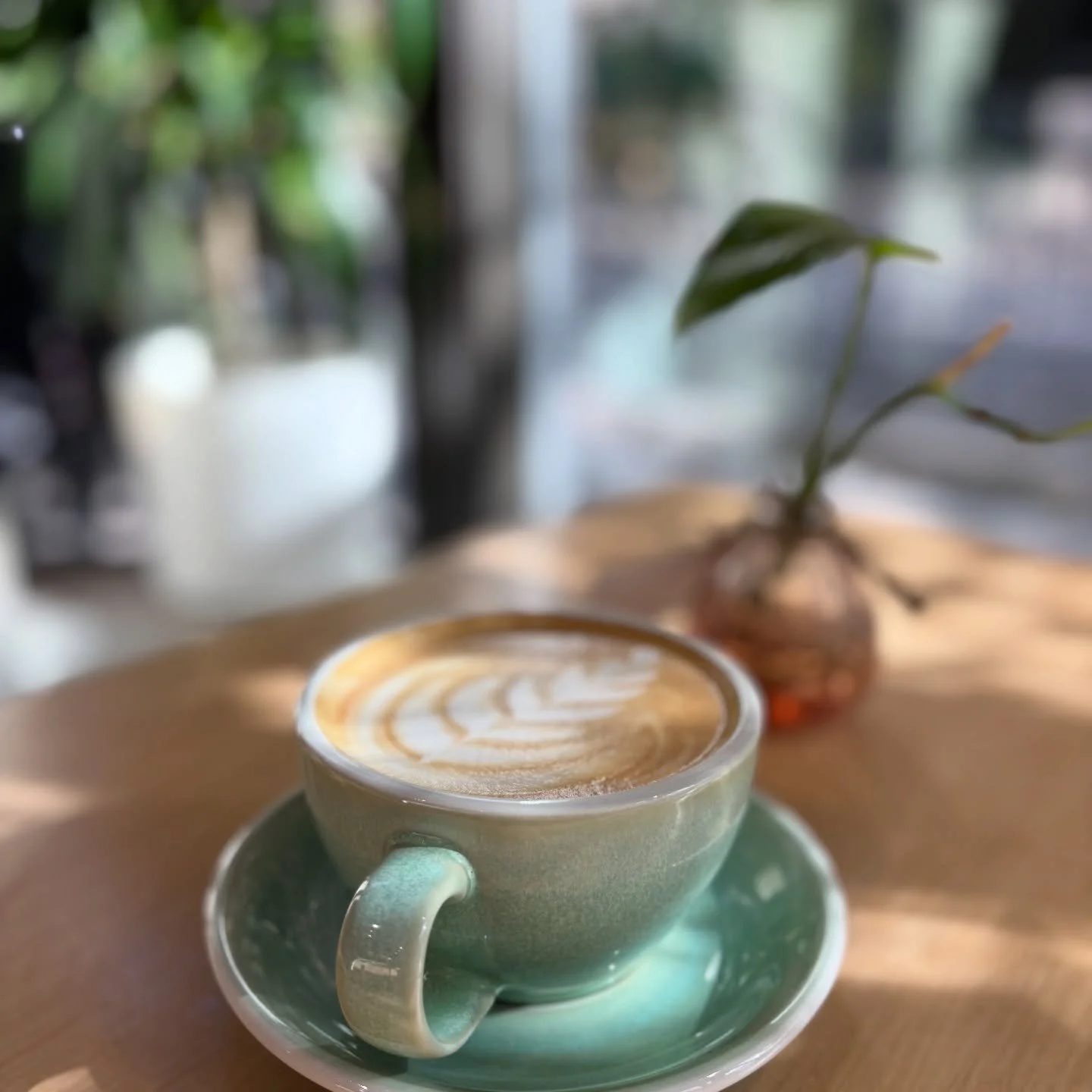 January overview ☕️☀️