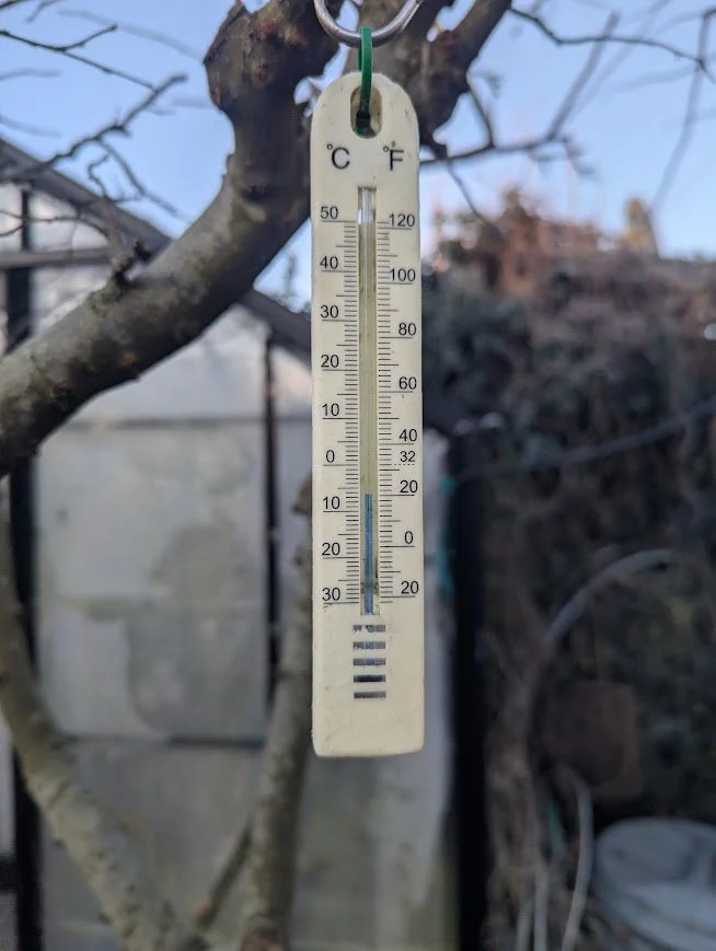 January: Joys and jobs