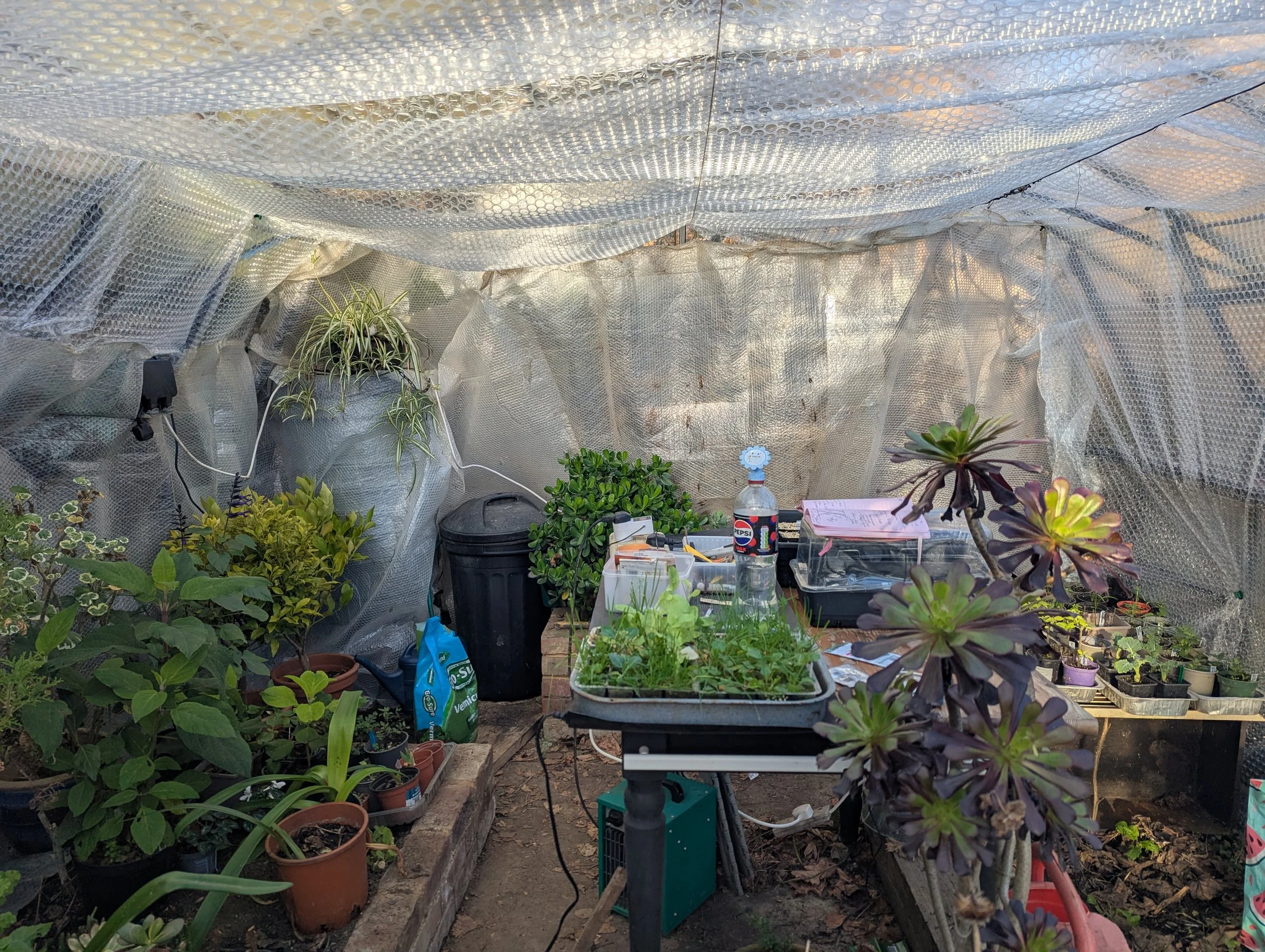Keeping your greenhouse warm over winter.