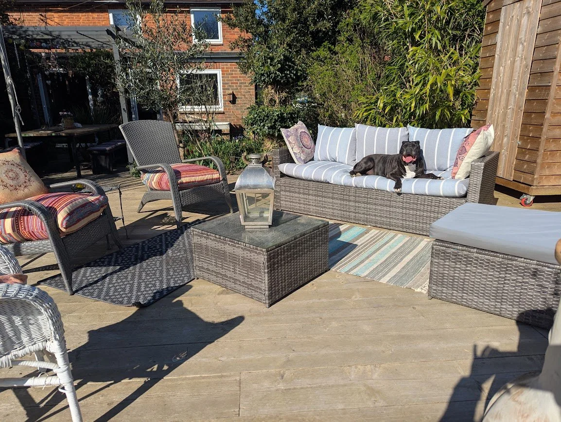 dog laying on a deck sofa