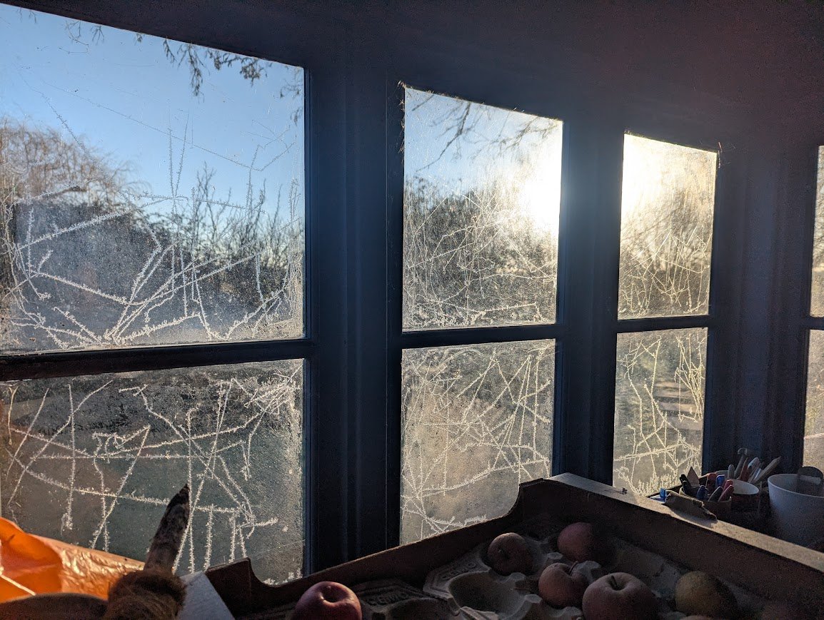 frost patterns on a potting shed window